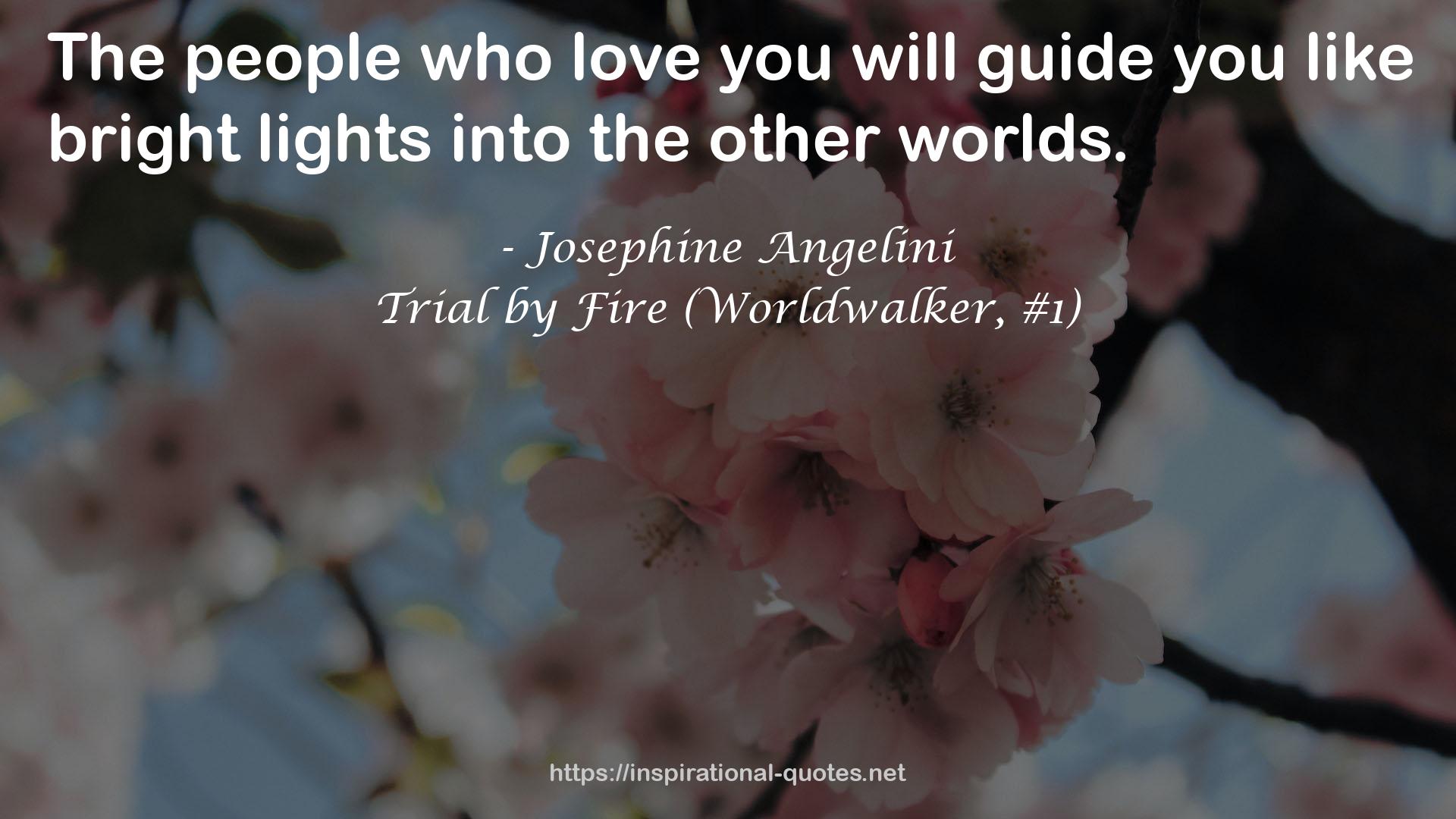 Trial by Fire (Worldwalker, #1) QUOTES