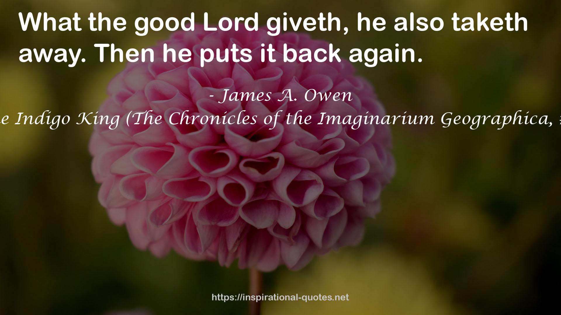 The Indigo King (The Chronicles of the Imaginarium Geographica, #3) QUOTES