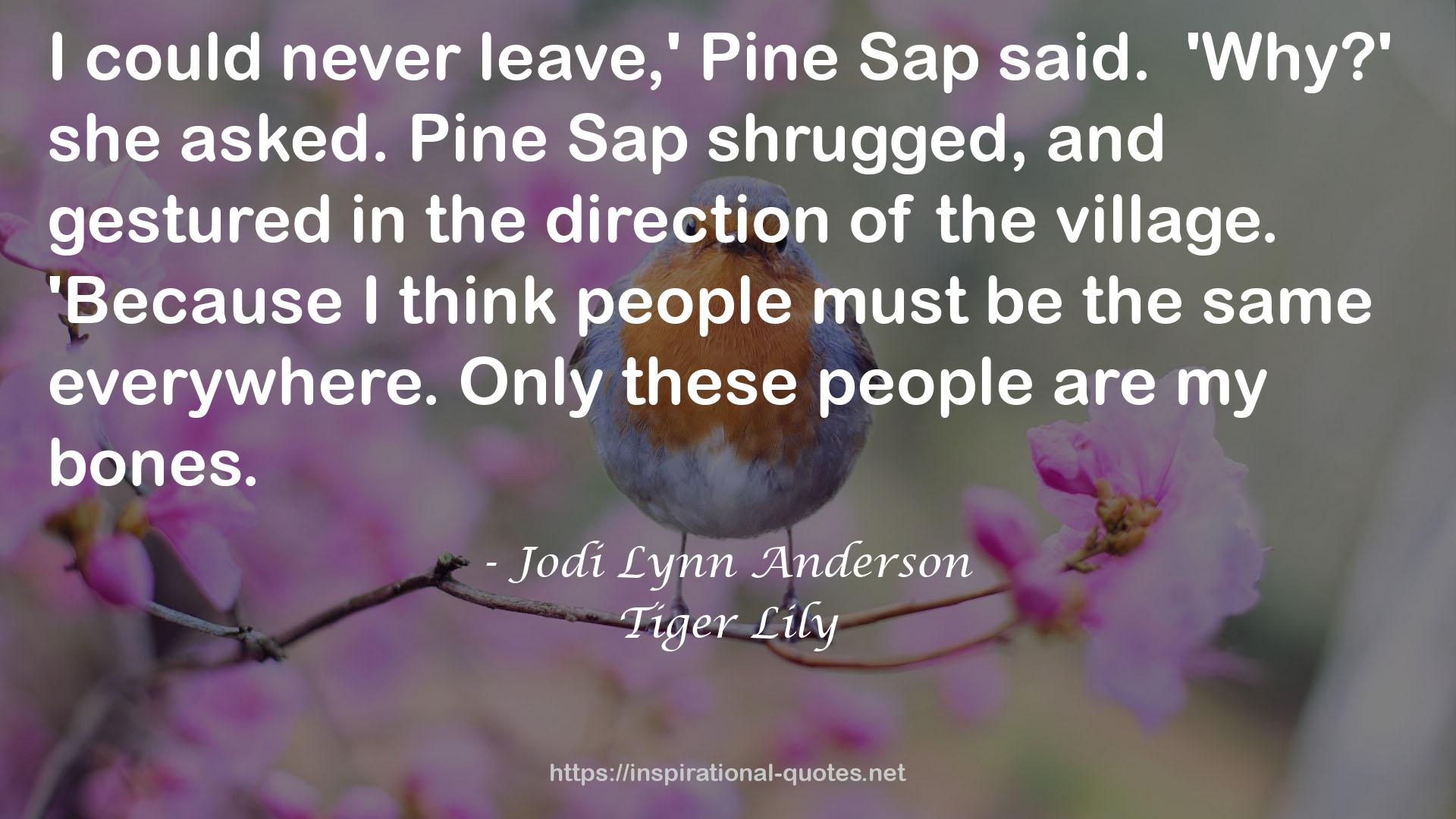 Pine Sap  QUOTES