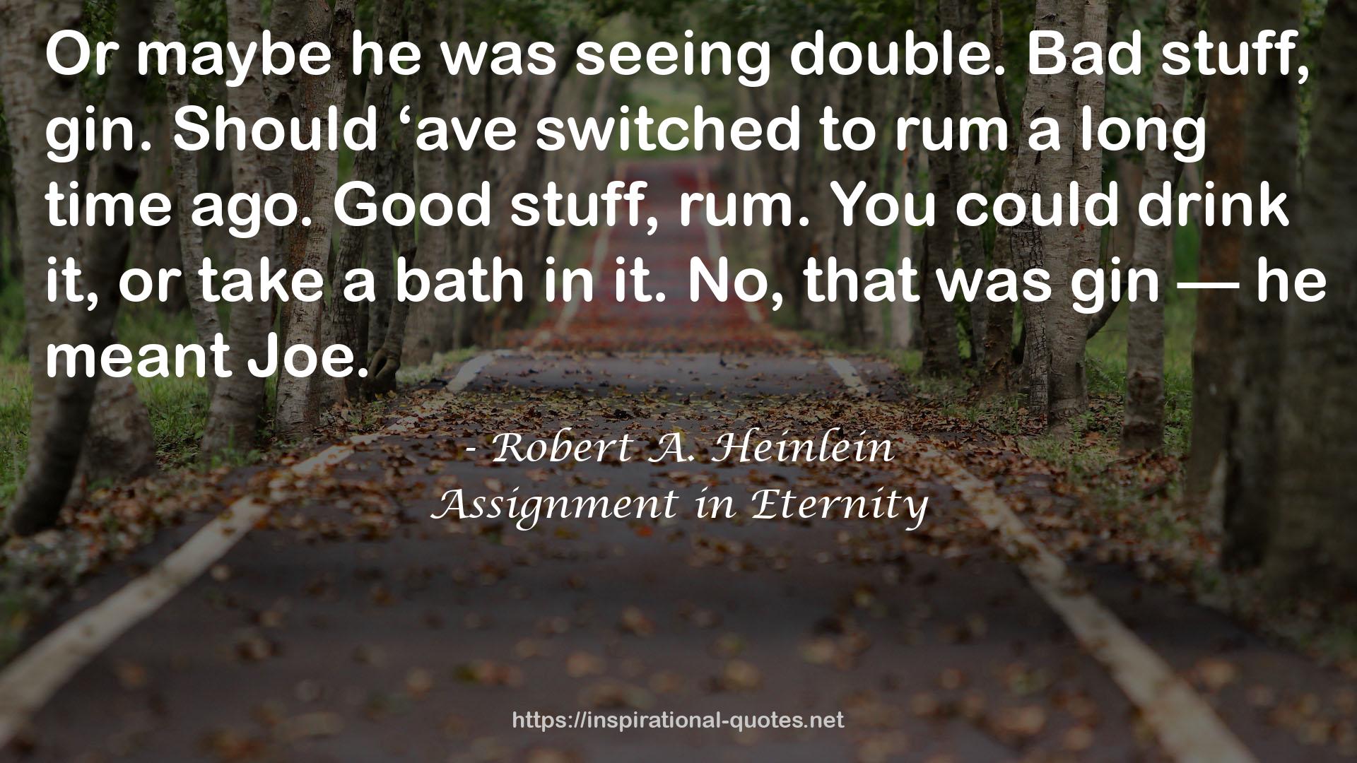 Assignment in Eternity QUOTES