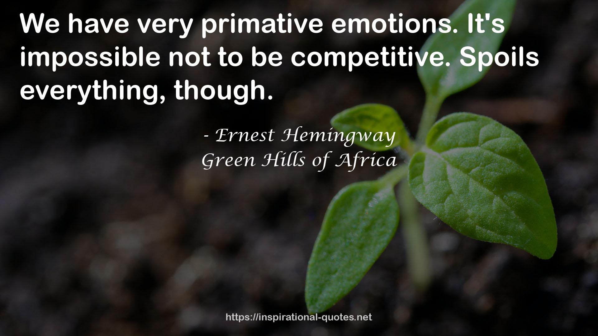 Green Hills of Africa QUOTES
