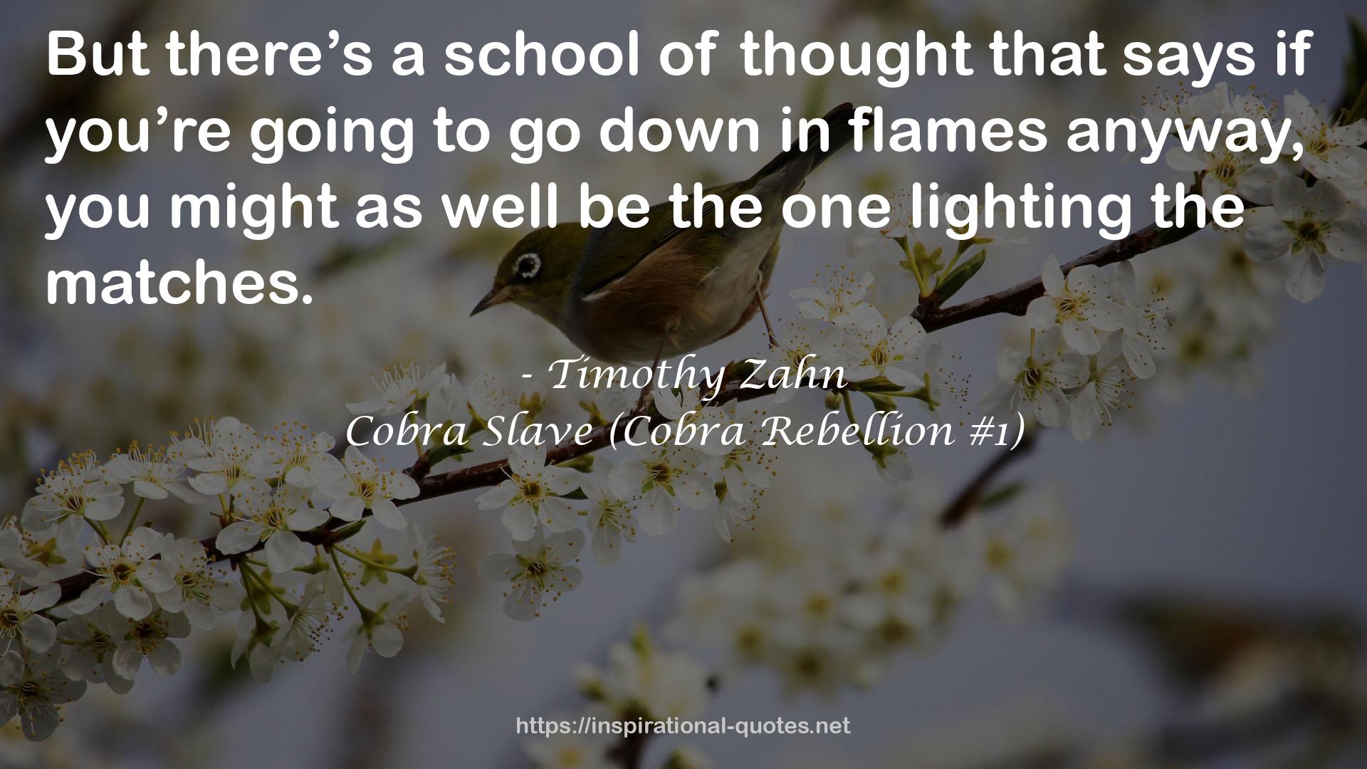 Timothy Zahn QUOTES