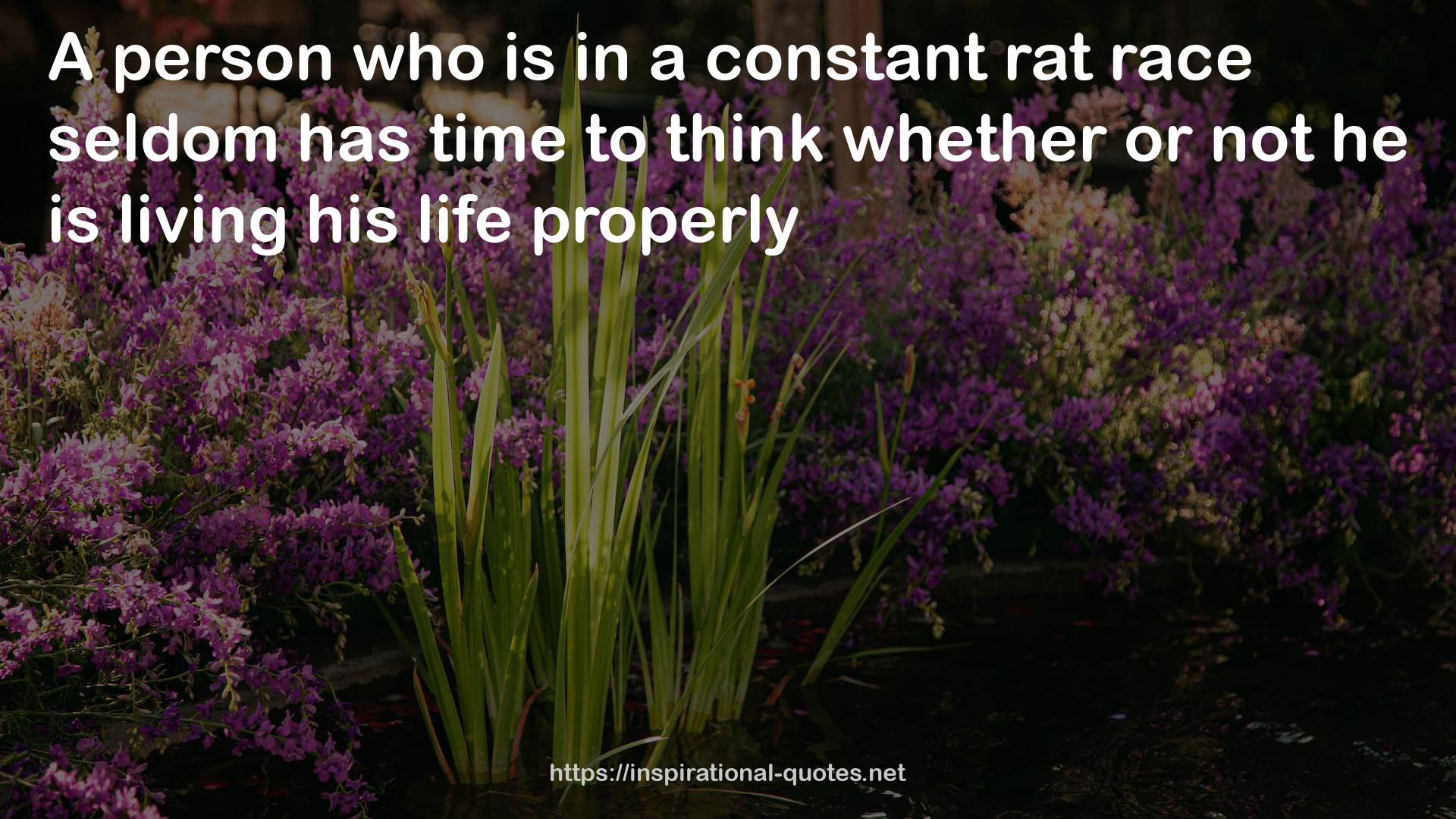 a constant rat race  QUOTES