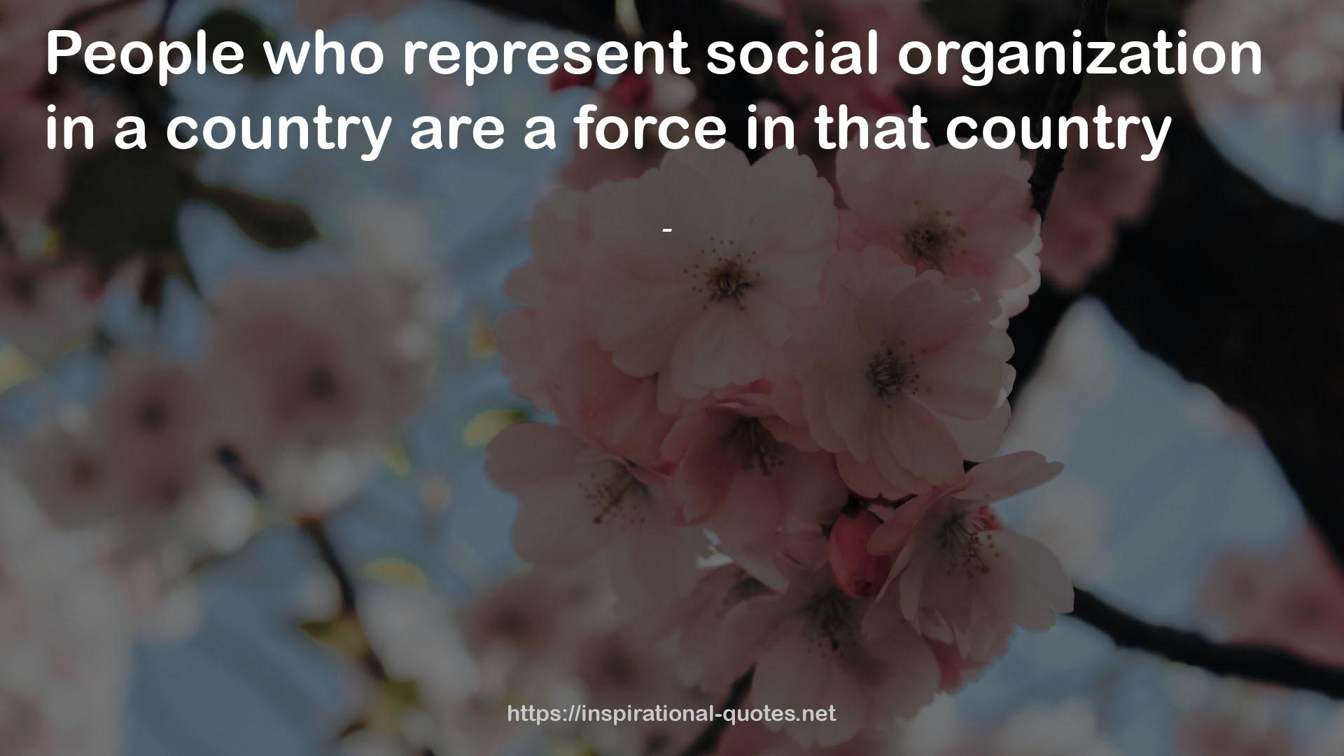 social organization  QUOTES