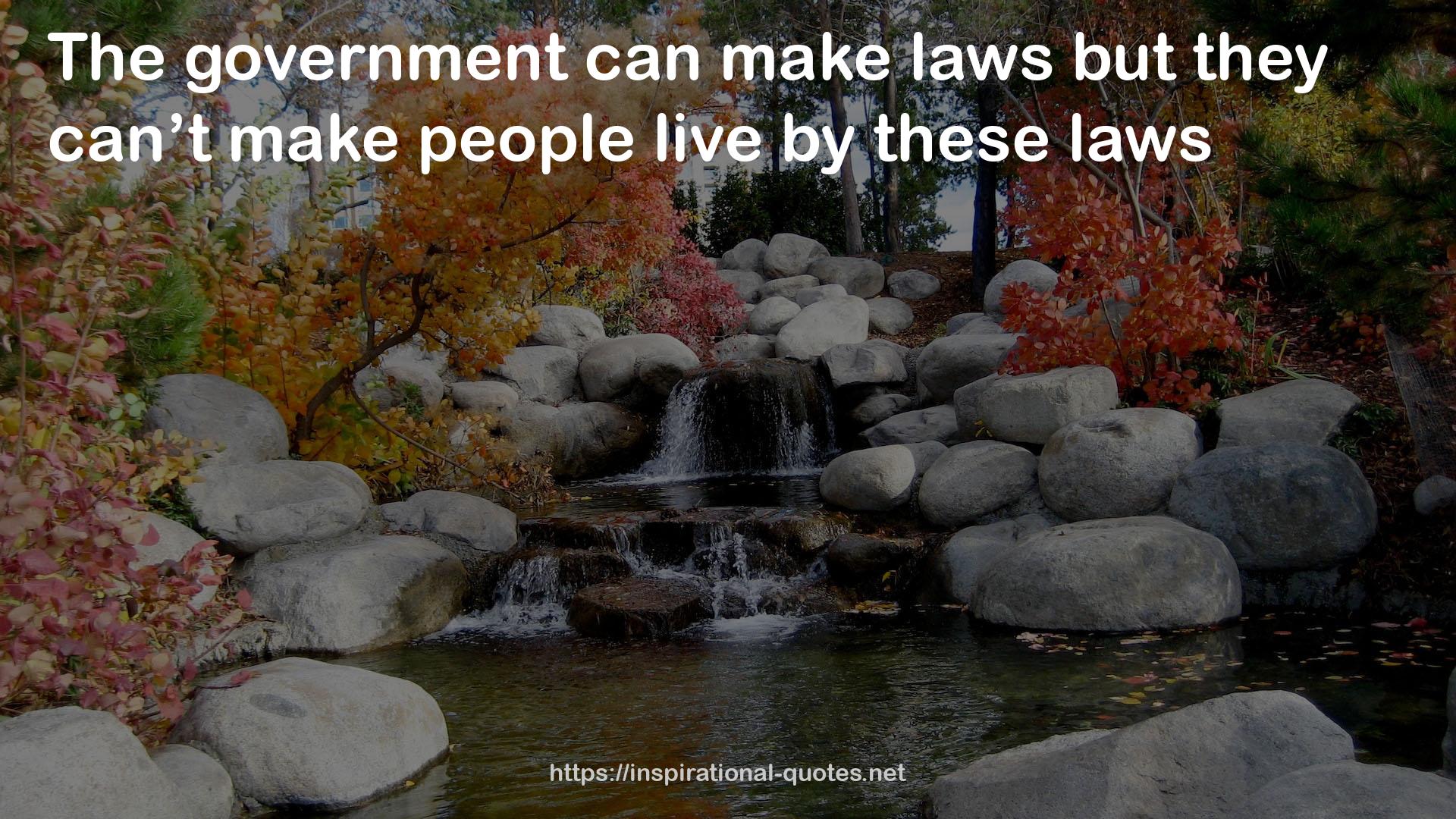 the government  QUOTES