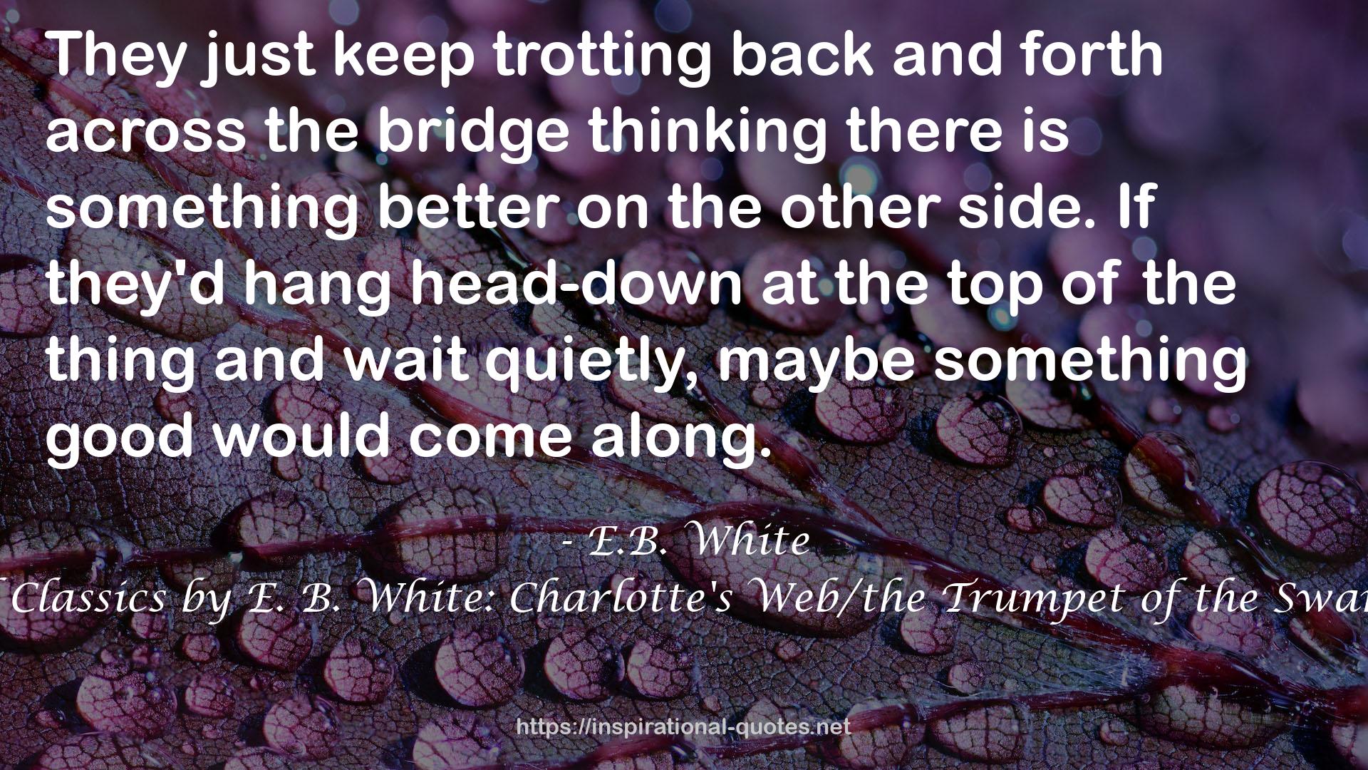 Three Beloved Classics by E. B. White: Charlotte's Web/the Trumpet of the Swan/Stuart Little QUOTES