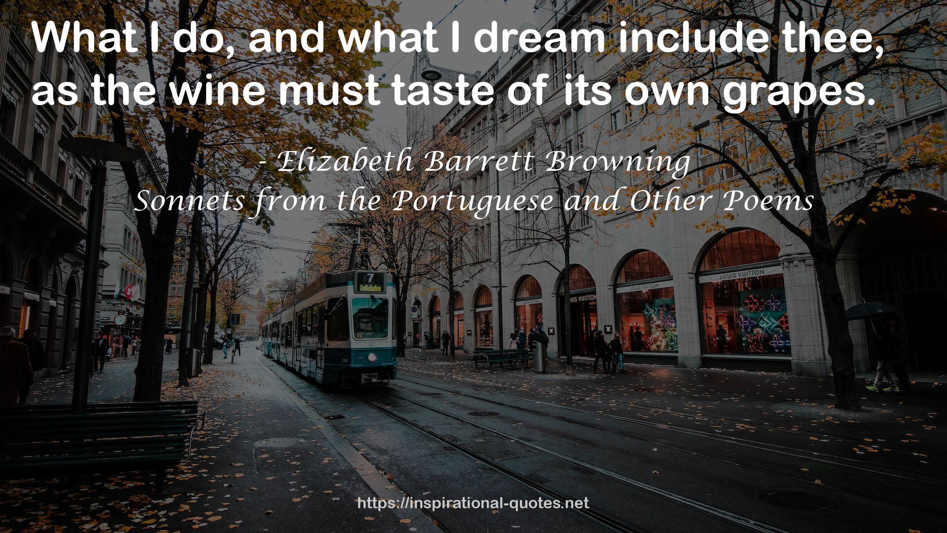 Sonnets from the Portuguese and Other Poems QUOTES