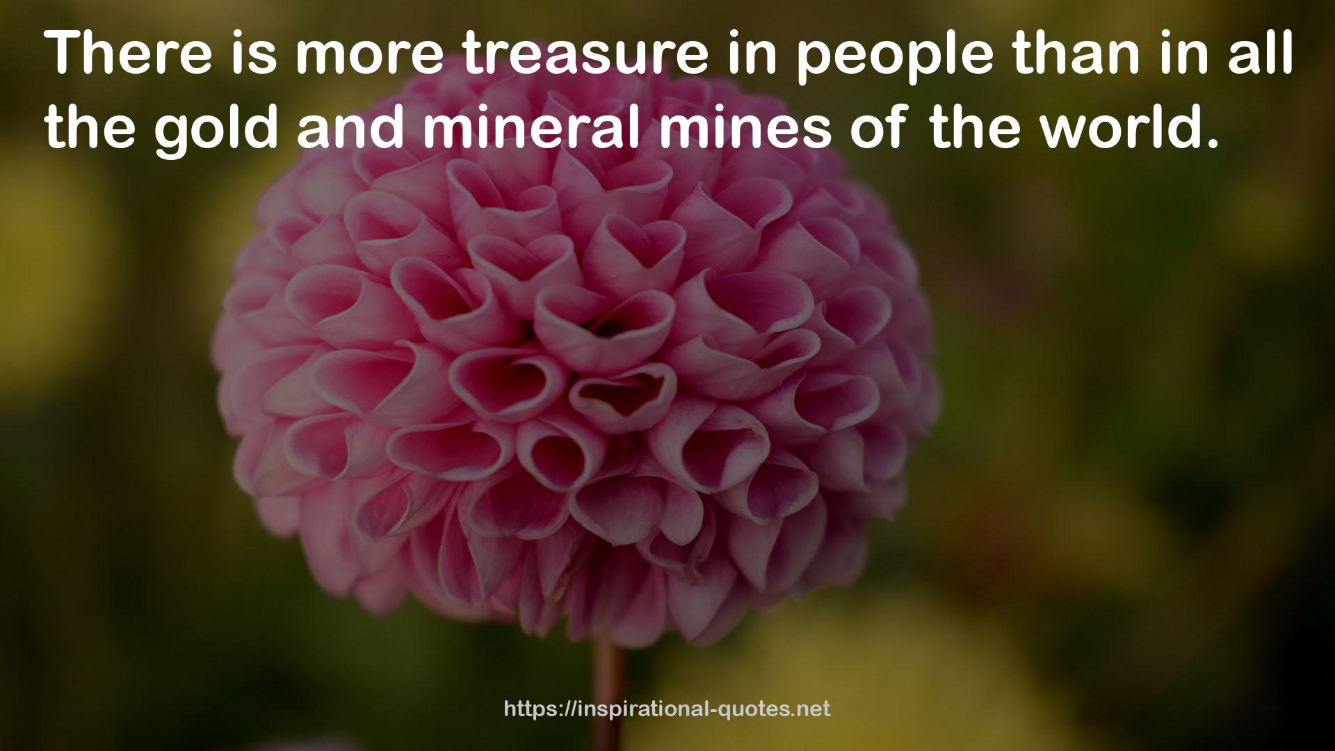 all the gold and mineral mines  QUOTES