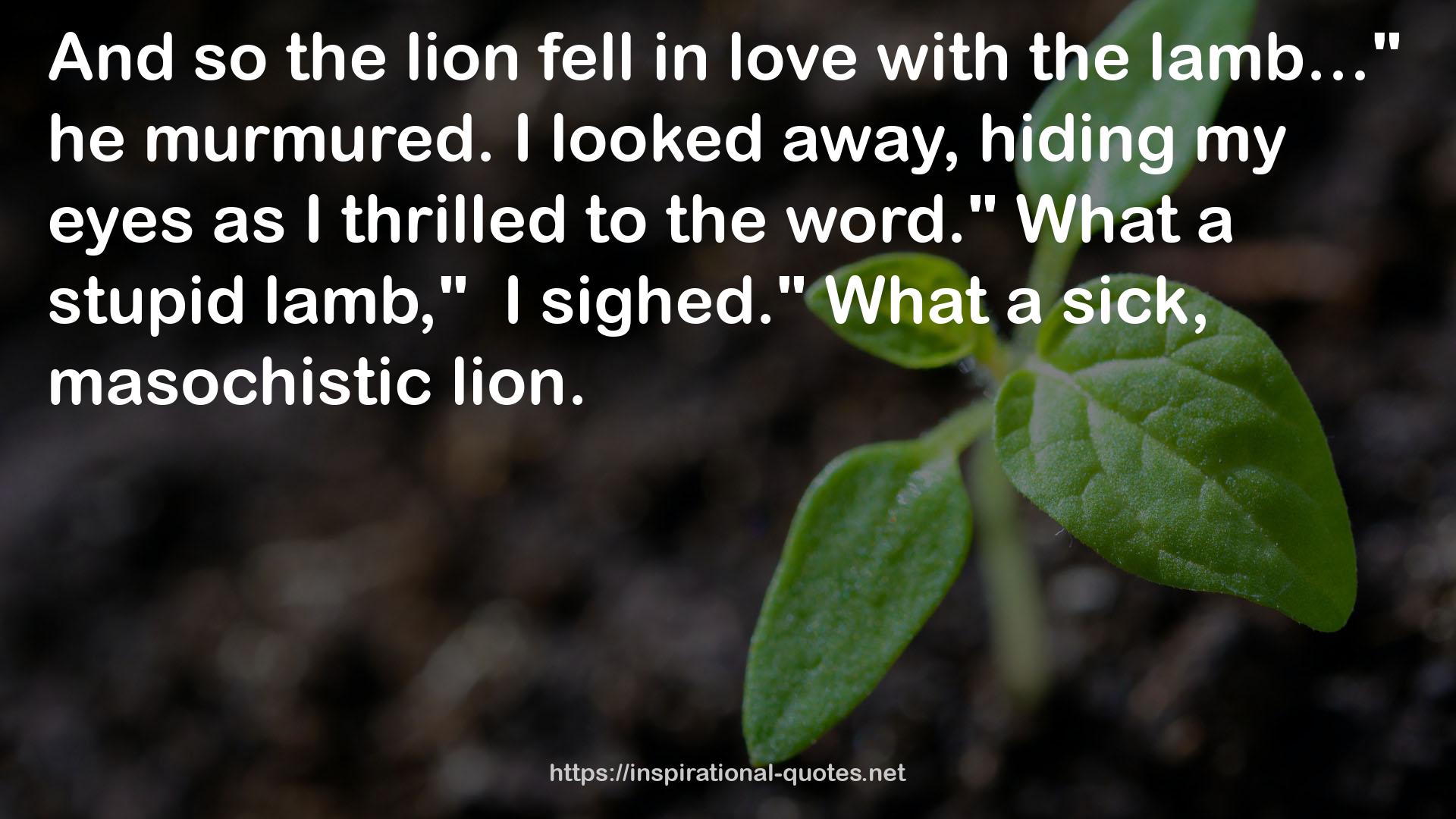 the lion  QUOTES