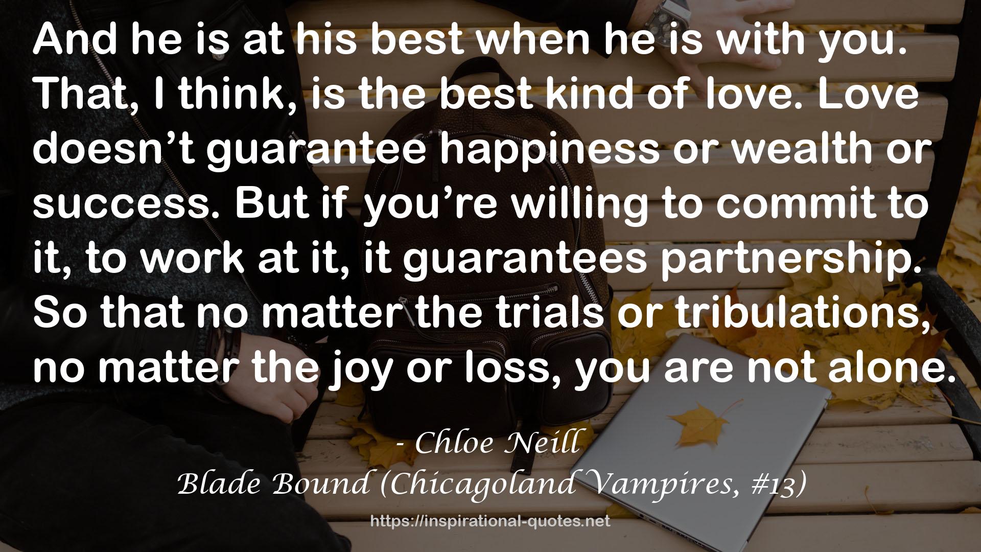 Blade Bound (Chicagoland Vampires, #13) QUOTES