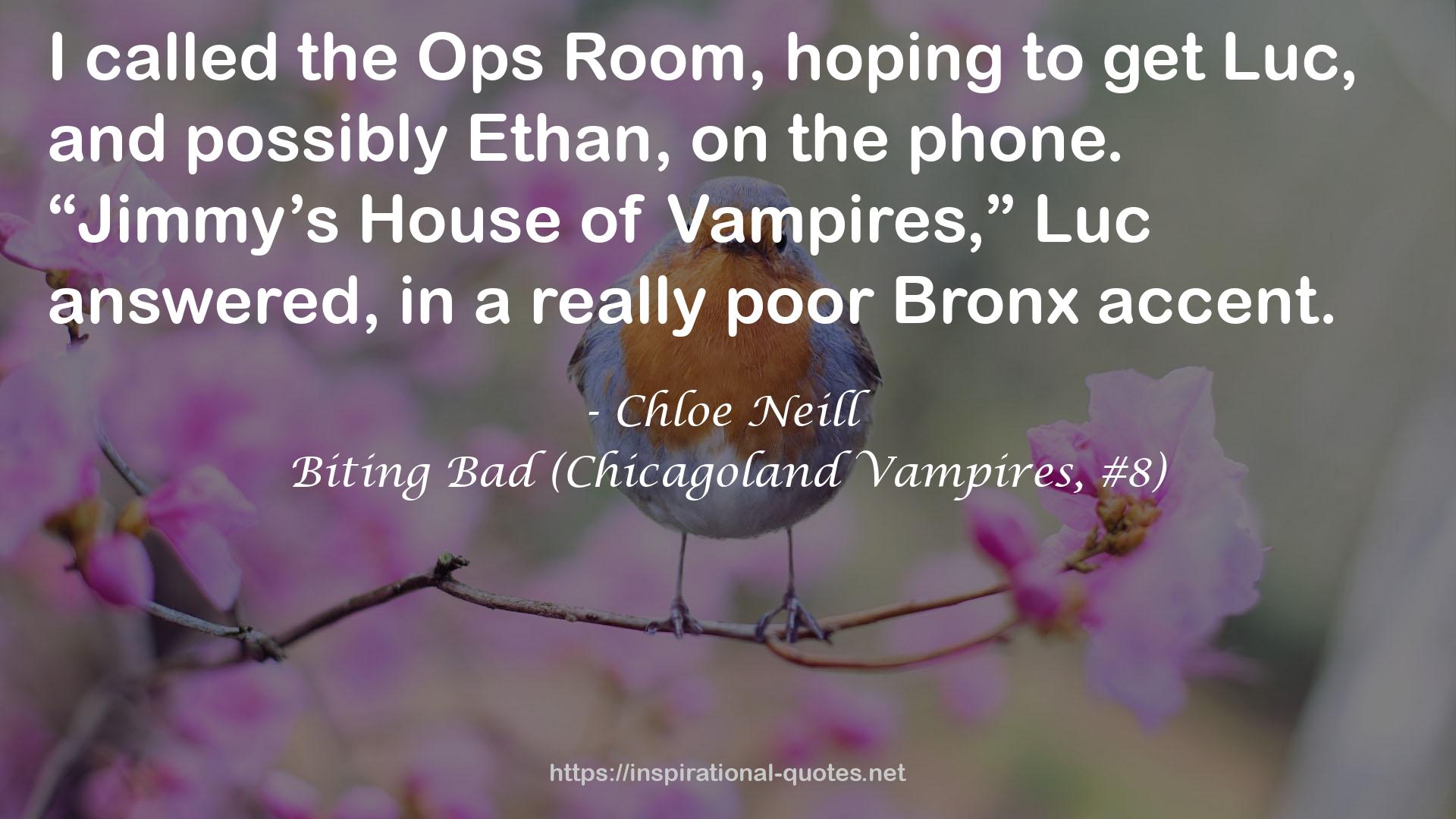 Biting Bad (Chicagoland Vampires, #8) QUOTES