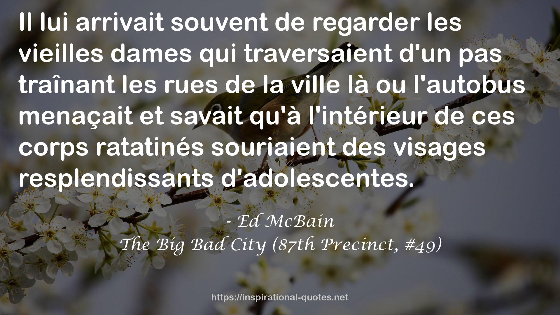 The Big Bad City (87th Precinct, #49) QUOTES