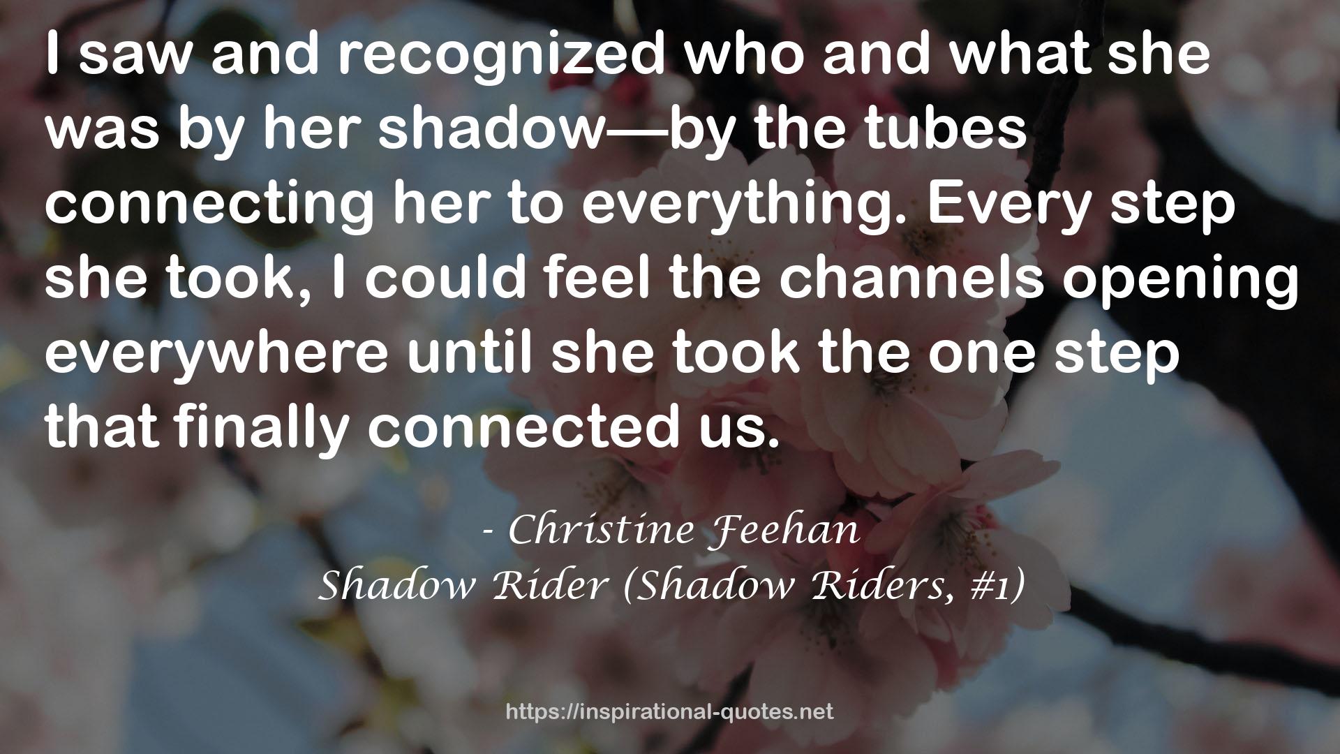Shadow Rider (Shadow Riders, #1) QUOTES