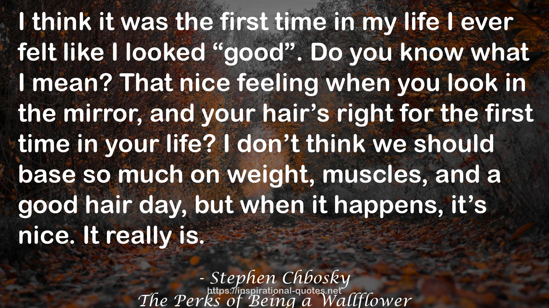 Stephen Chbosky QUOTES