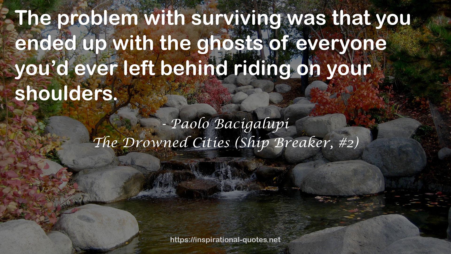 The Drowned Cities (Ship Breaker, #2) QUOTES