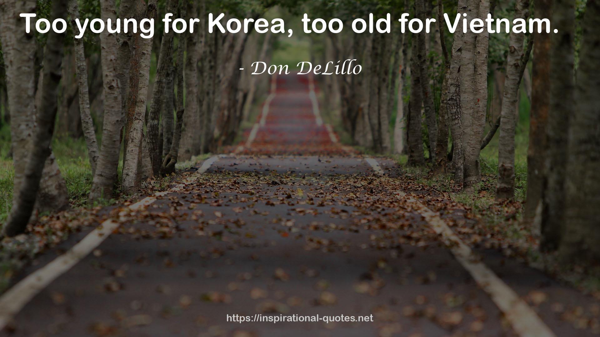 Vietnam  QUOTES