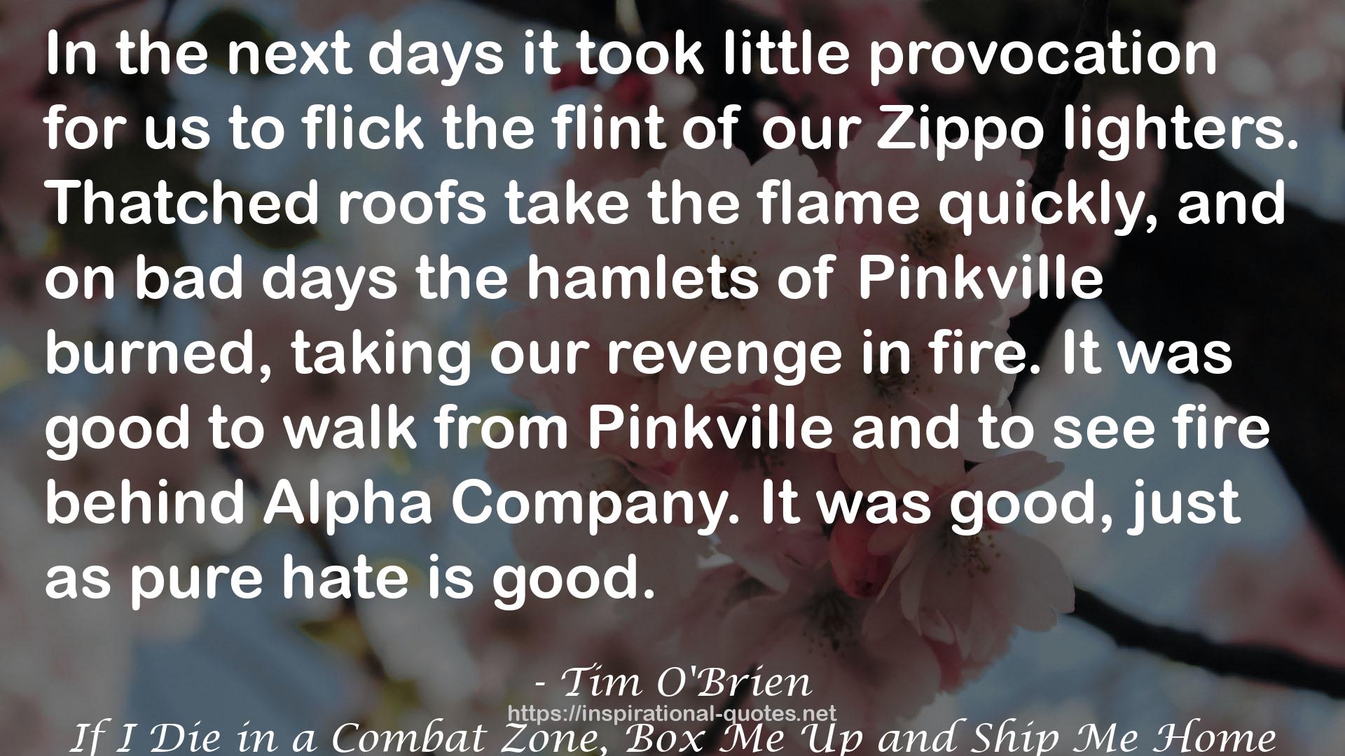 Pinkville  QUOTES