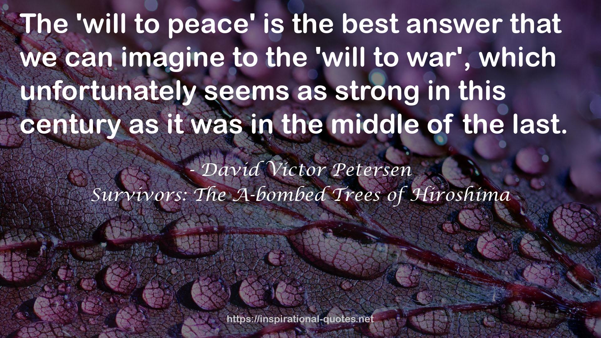 David Victor Petersen QUOTES