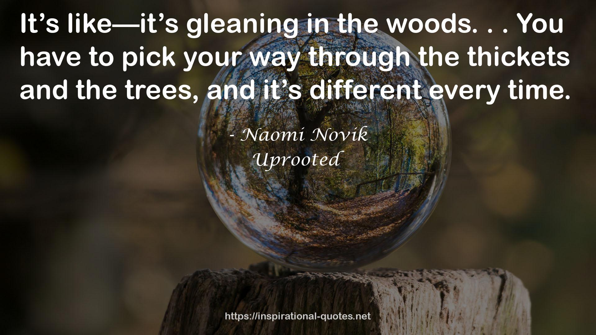 Uprooted QUOTES