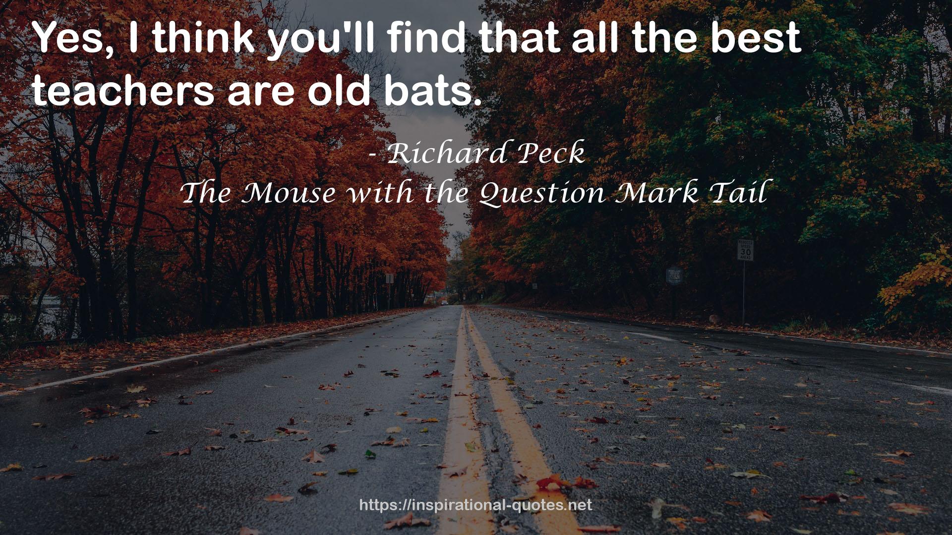 The Mouse with the Question Mark Tail QUOTES