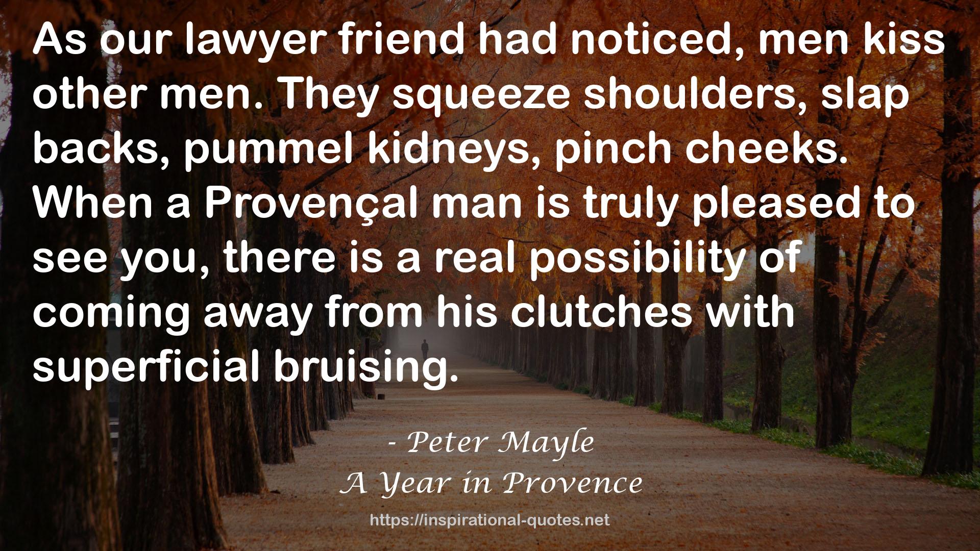 Peter Mayle QUOTES