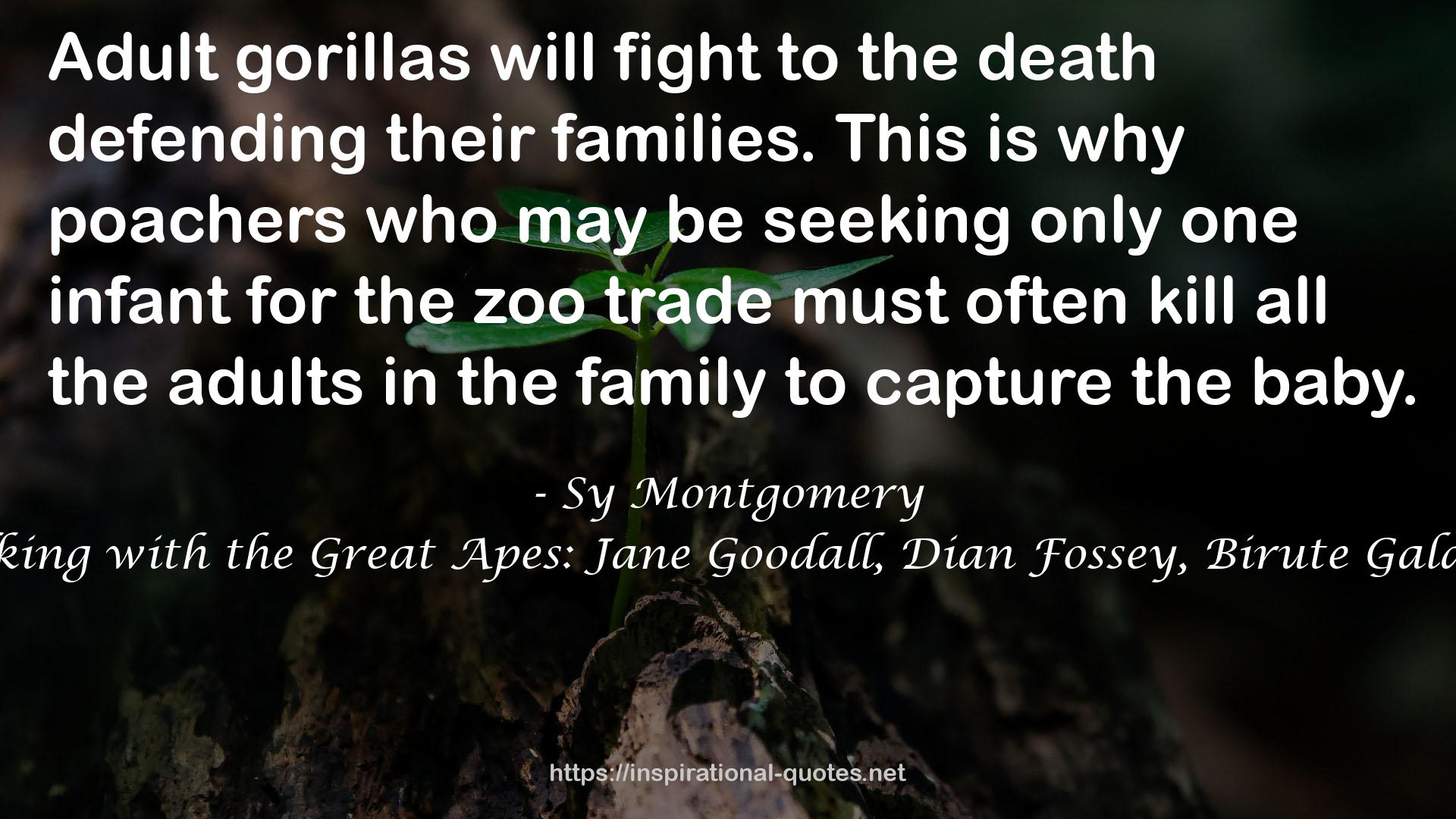 Walking with the Great Apes: Jane Goodall, Dian Fossey, Birute Galdikas QUOTES