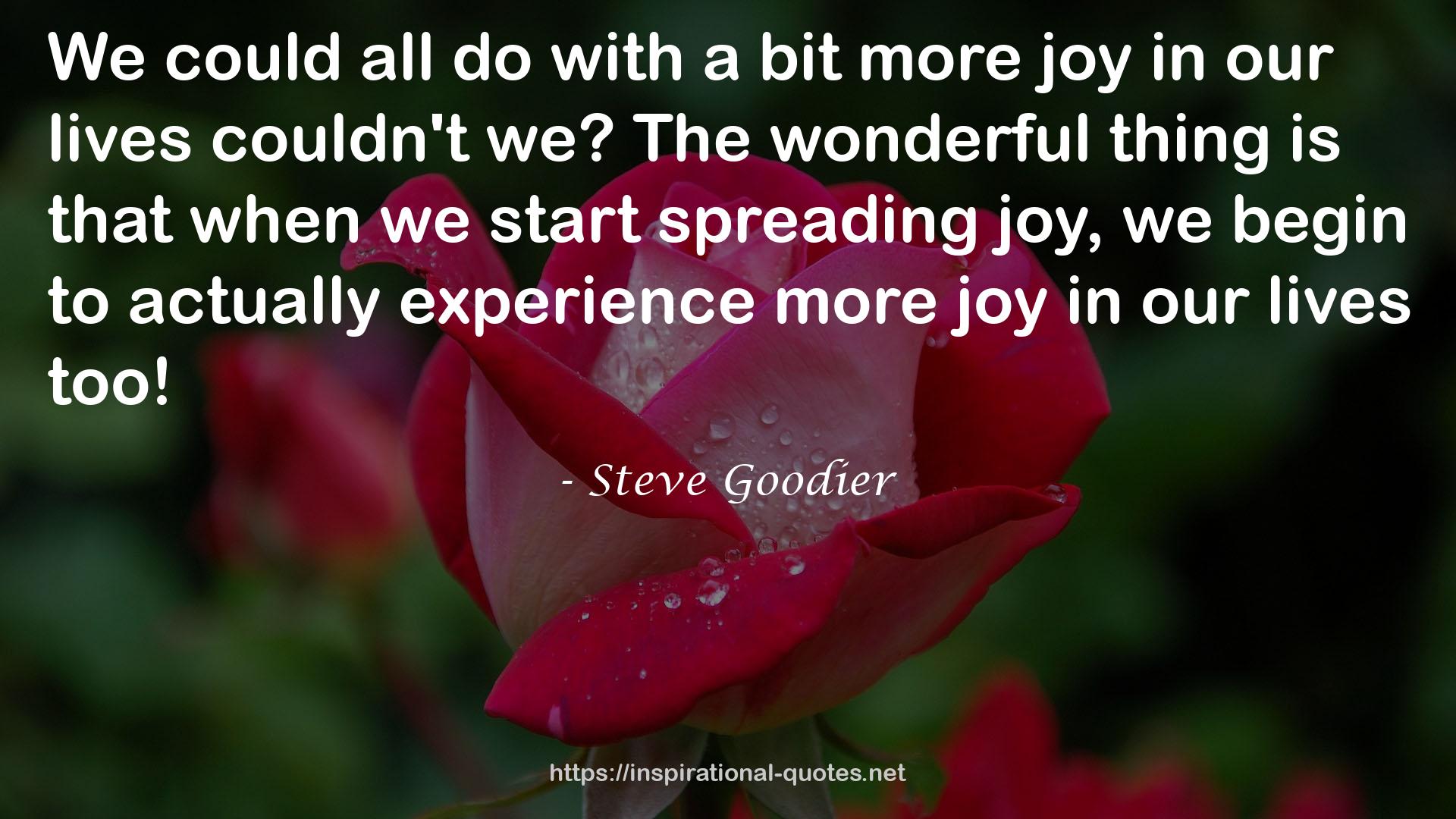 Steve Goodier QUOTES