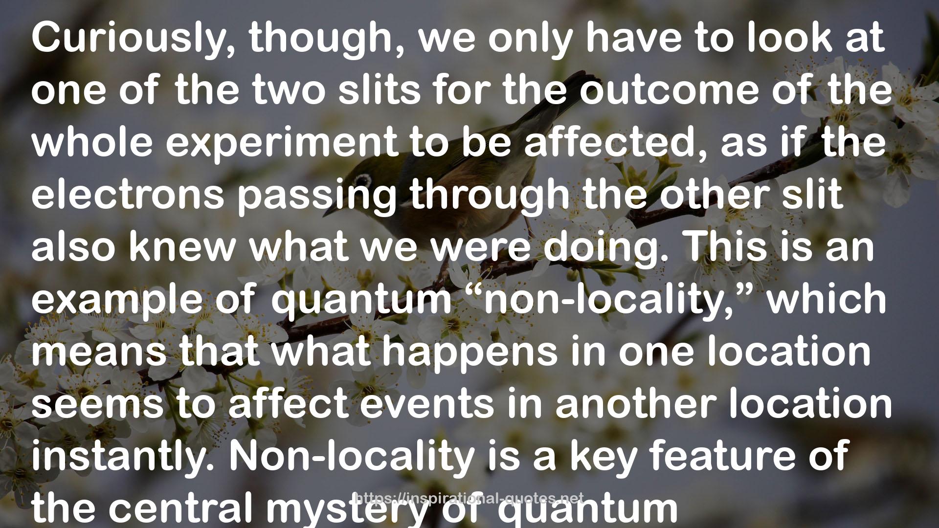 Computing with Quantum Cats: From Colossus to Qubits QUOTES