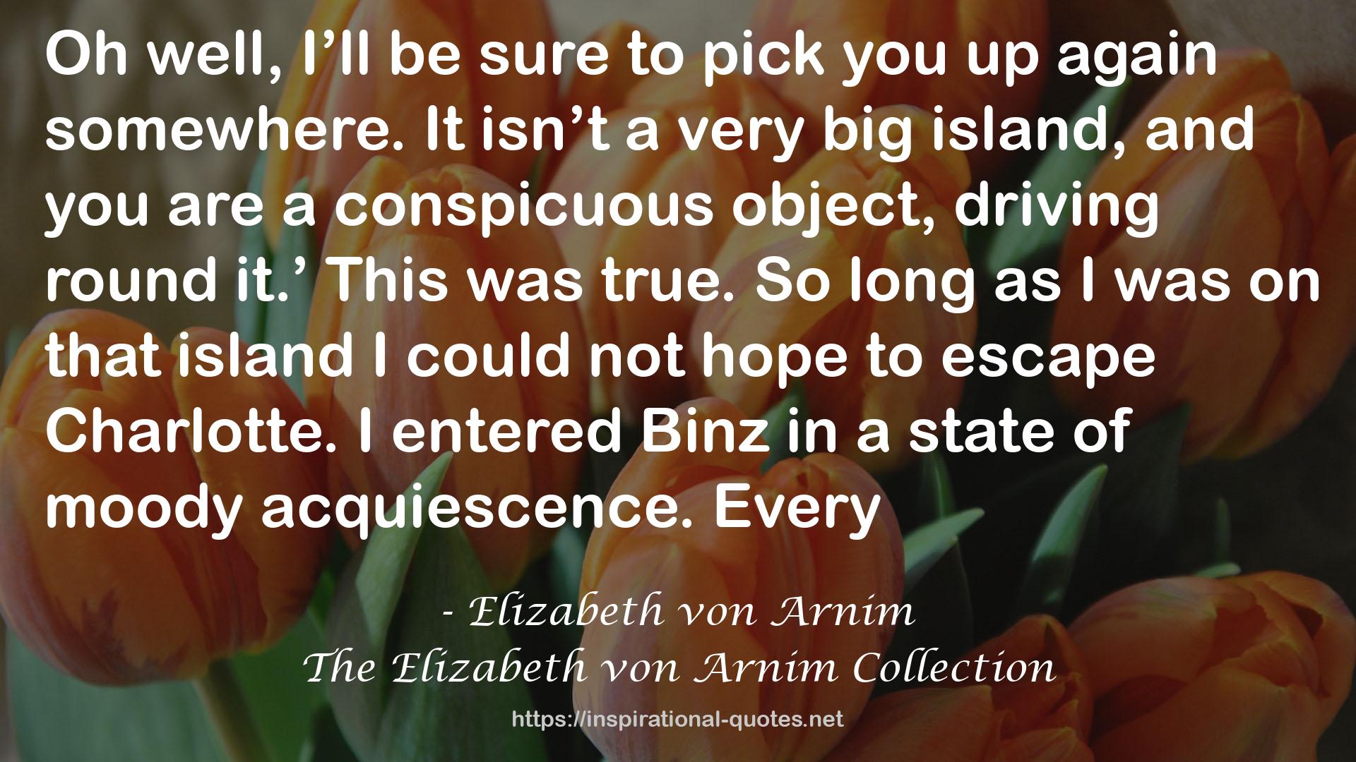 Elizabeth von Arnim QUOTES