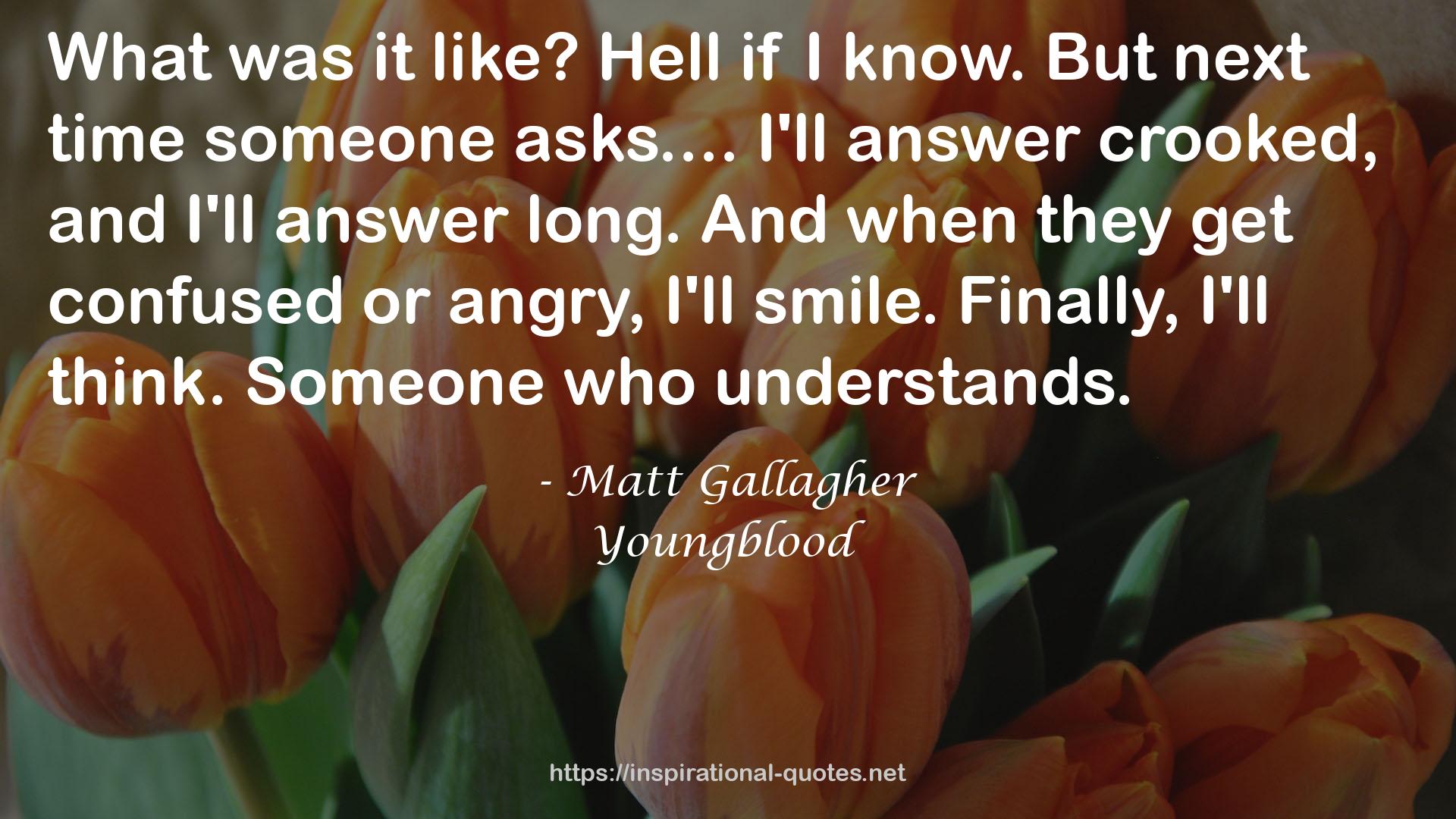 Matt Gallagher QUOTES