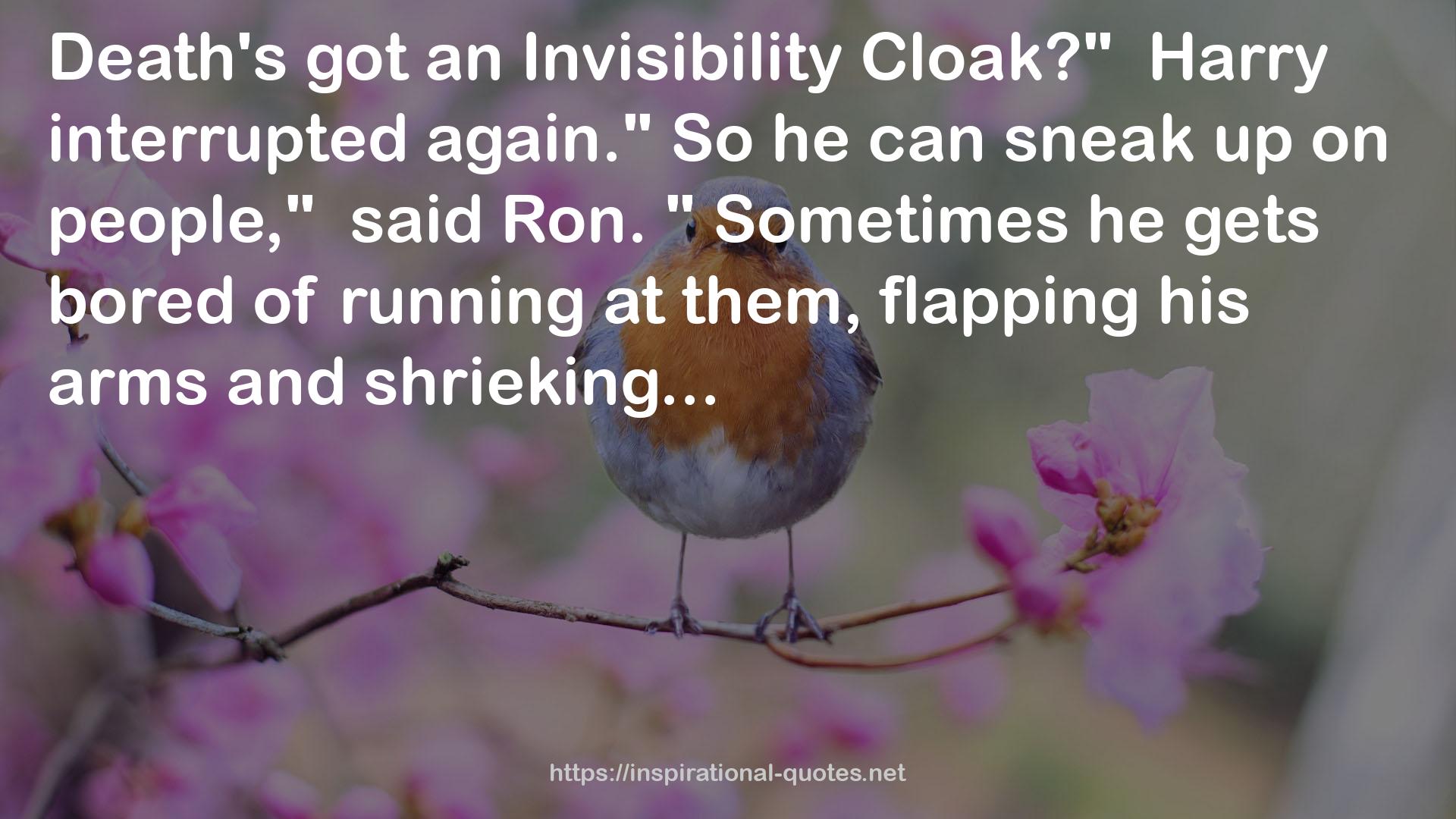 Invisibility  QUOTES