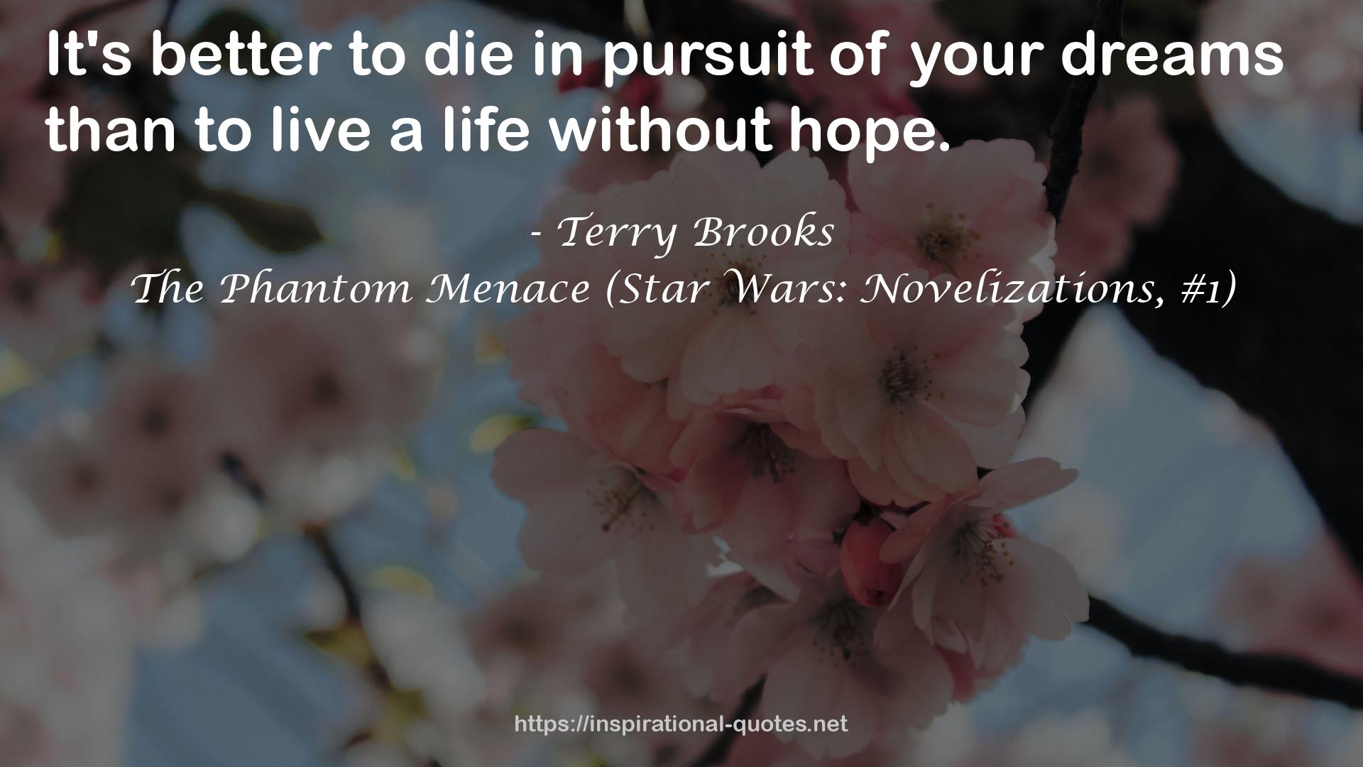 The Phantom Menace (Star Wars: Novelizations, #1) QUOTES