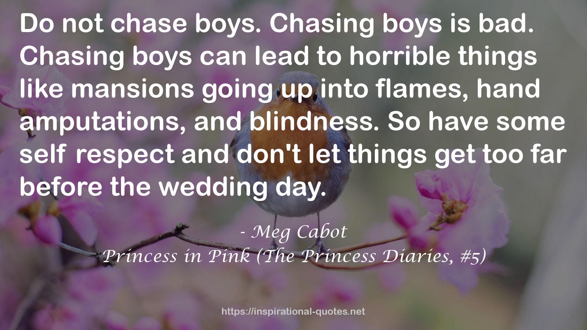 Princess in Pink (The Princess Diaries, #5) QUOTES