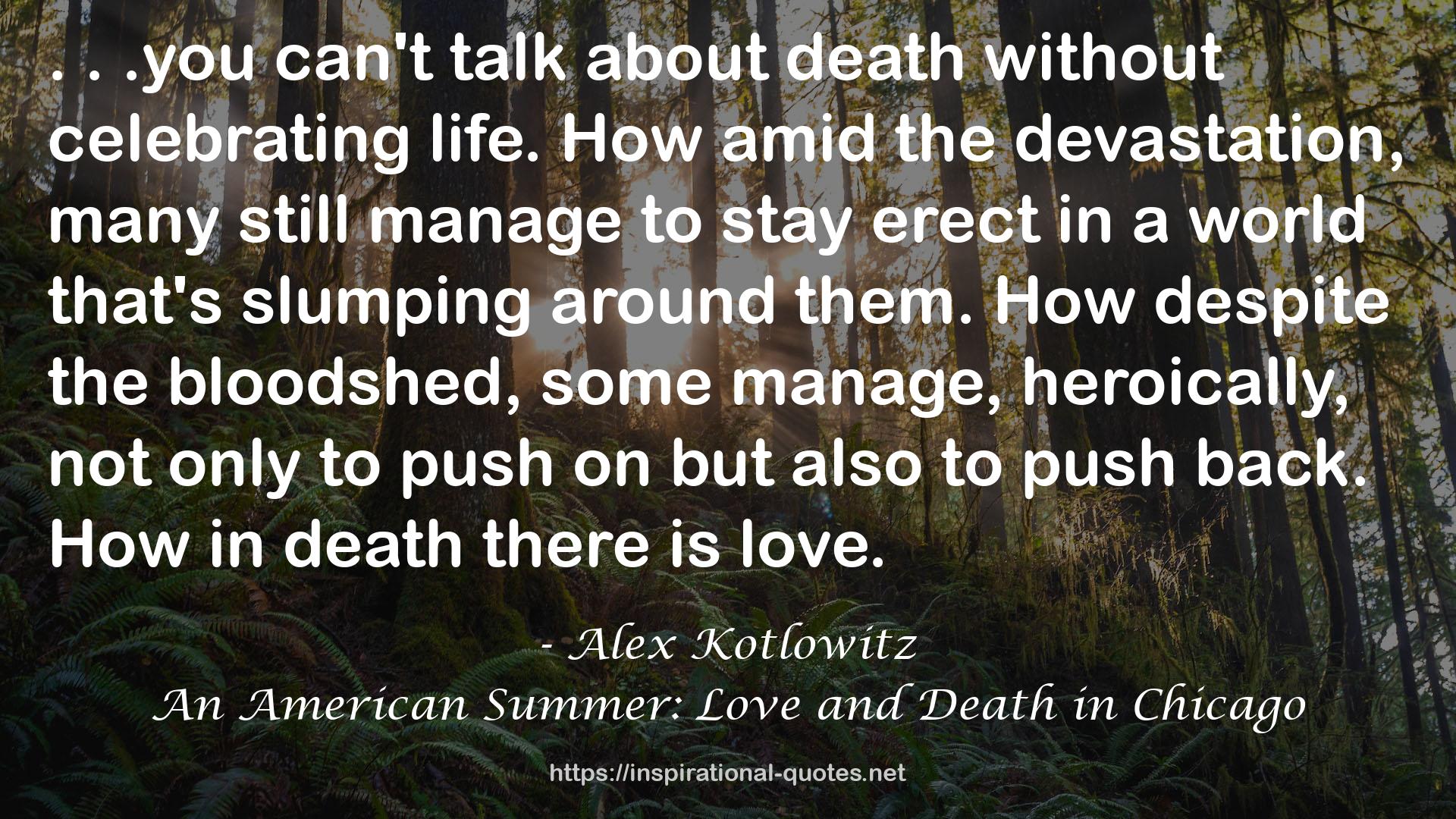 An American Summer: Love and Death in Chicago QUOTES