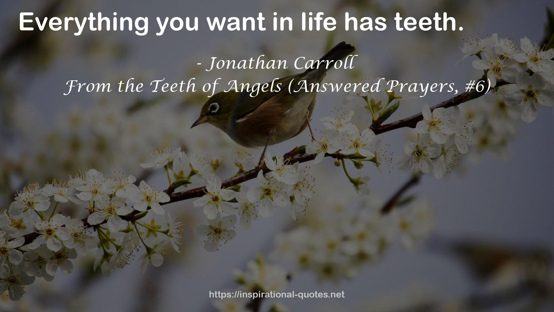 From the Teeth of Angels (Answered Prayers, #6) QUOTES