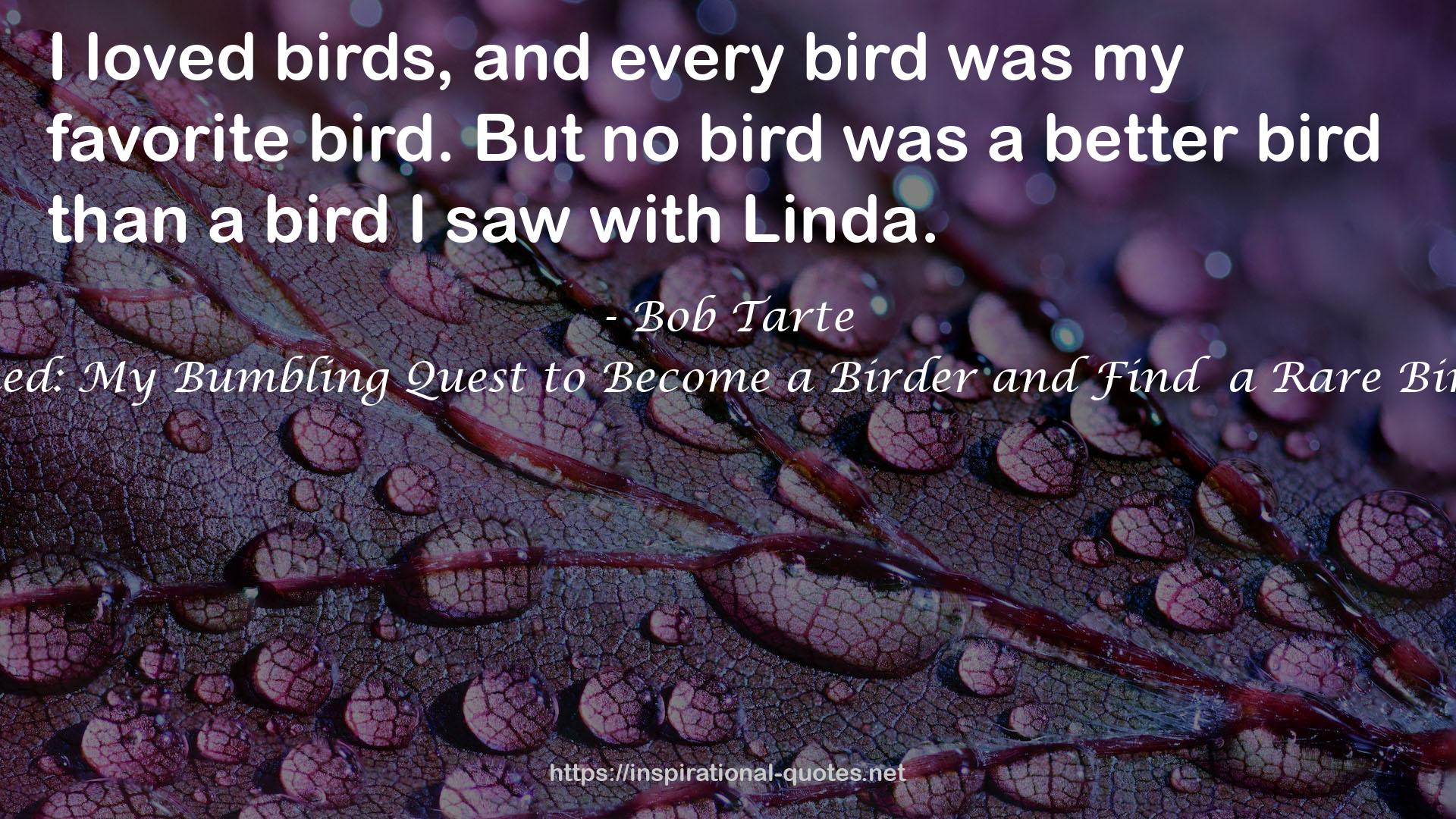 Feather Brained: My Bumbling Quest to Become a Birder and Find  a Rare Bird on My Own QUOTES