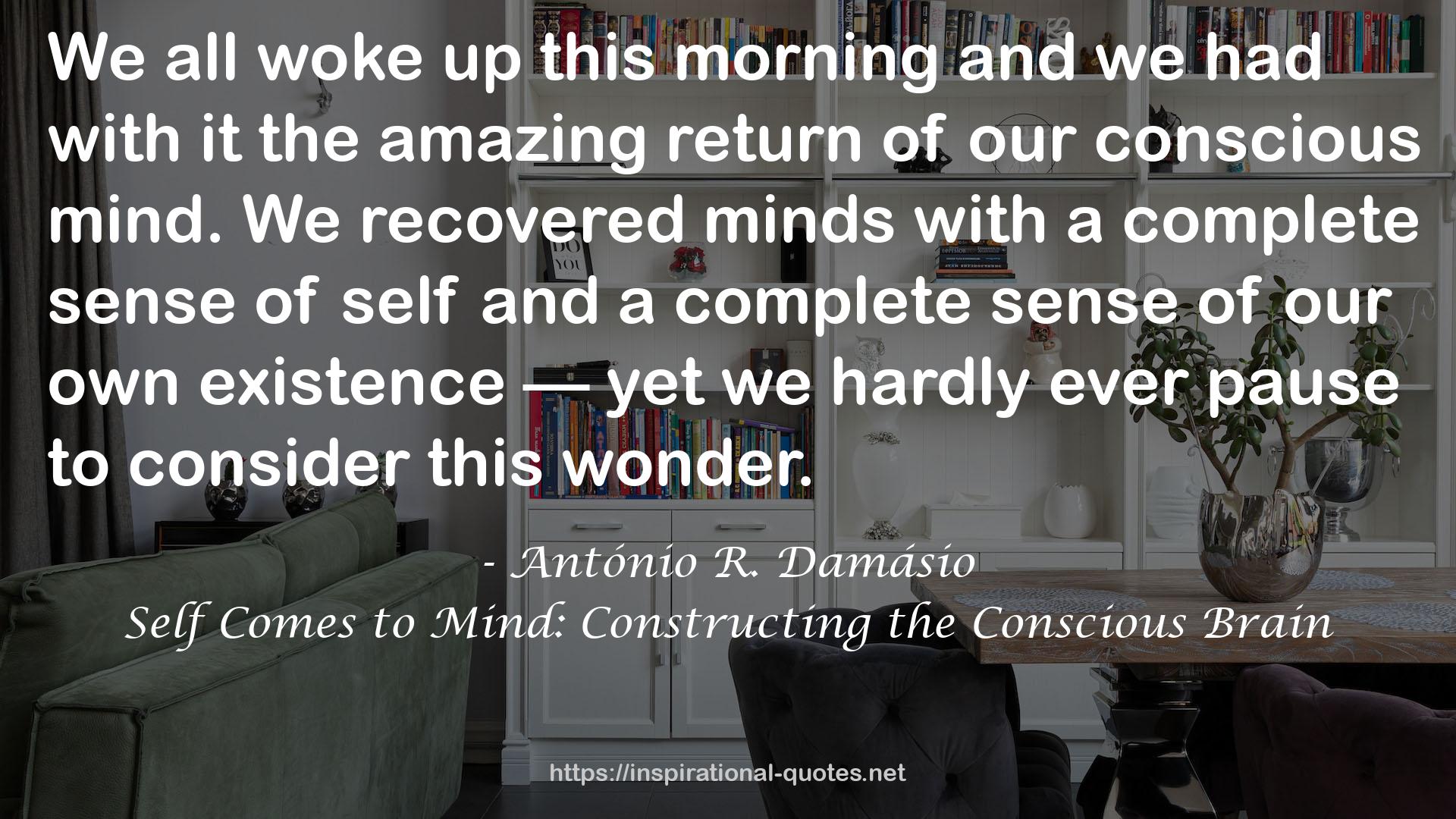 Self Comes to Mind: Constructing the Conscious Brain QUOTES