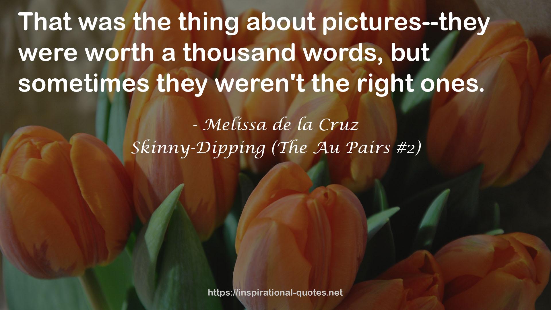 Skinny-Dipping (The Au Pairs #2) QUOTES