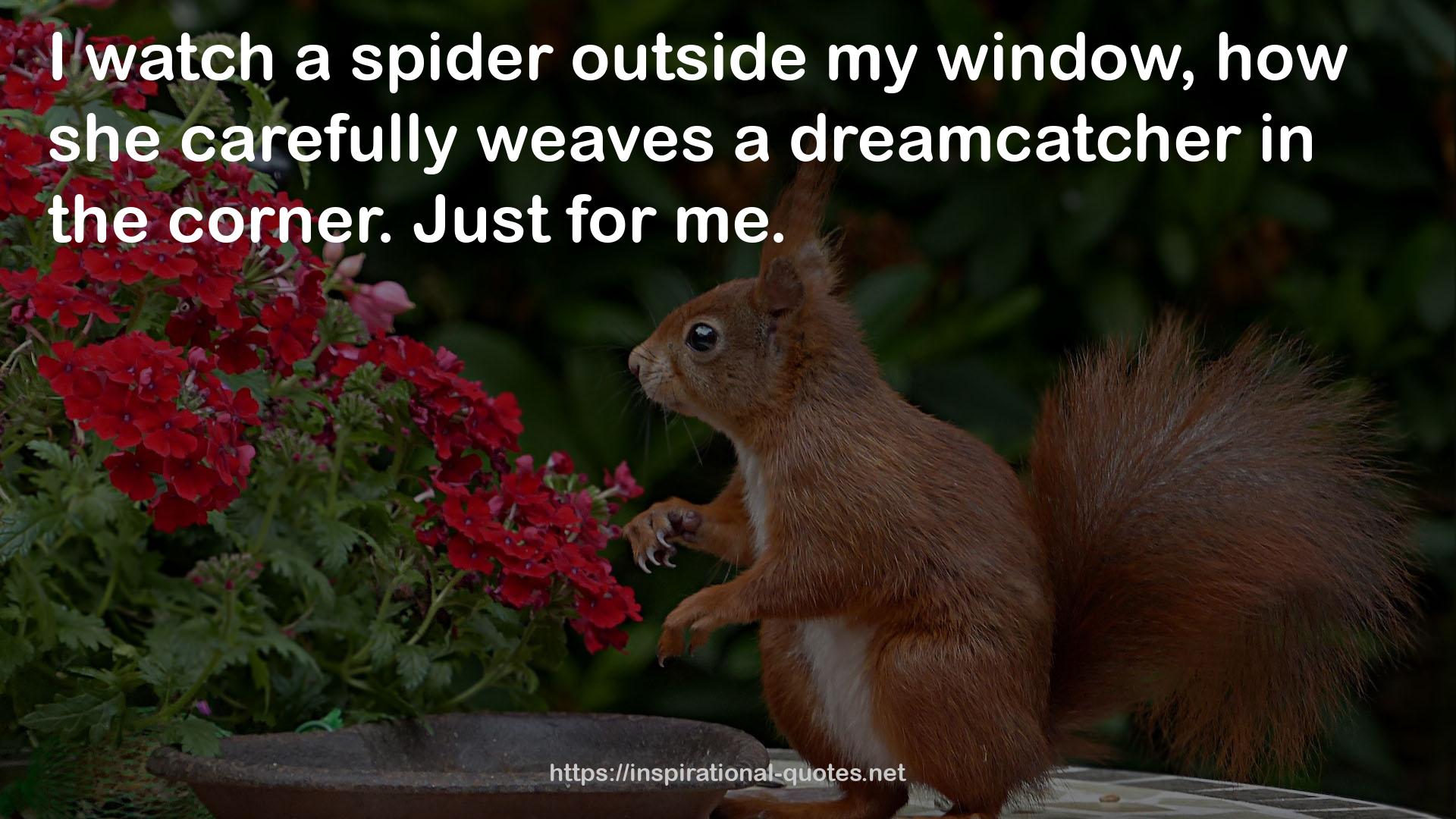 a dreamcatcher  QUOTES