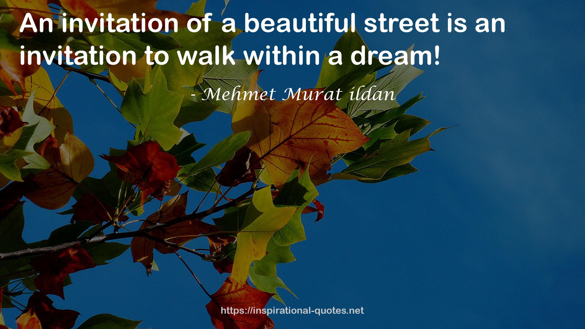 a beautiful street  QUOTES