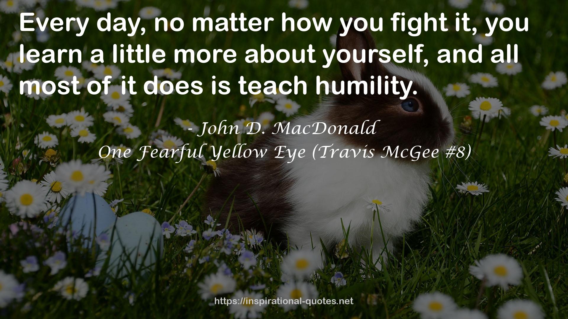 One Fearful Yellow Eye (Travis McGee #8) QUOTES