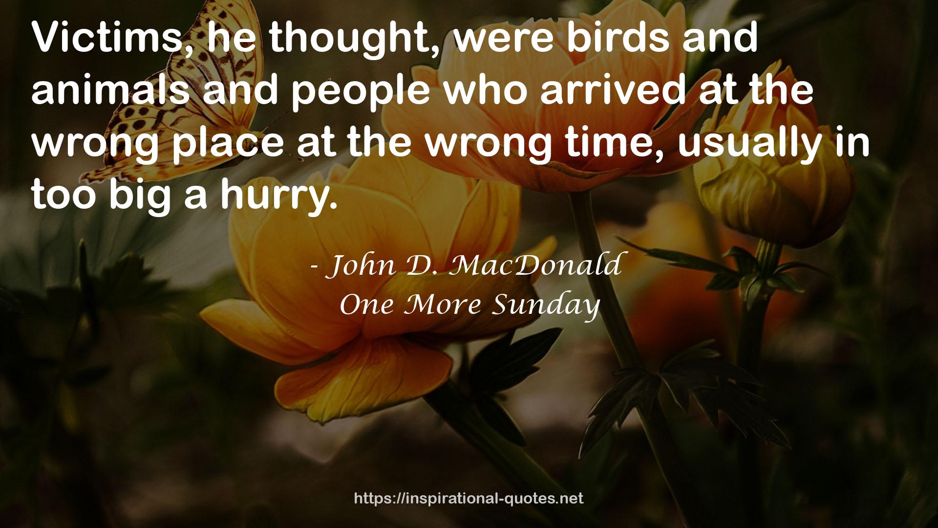 John D. MacDonald QUOTES