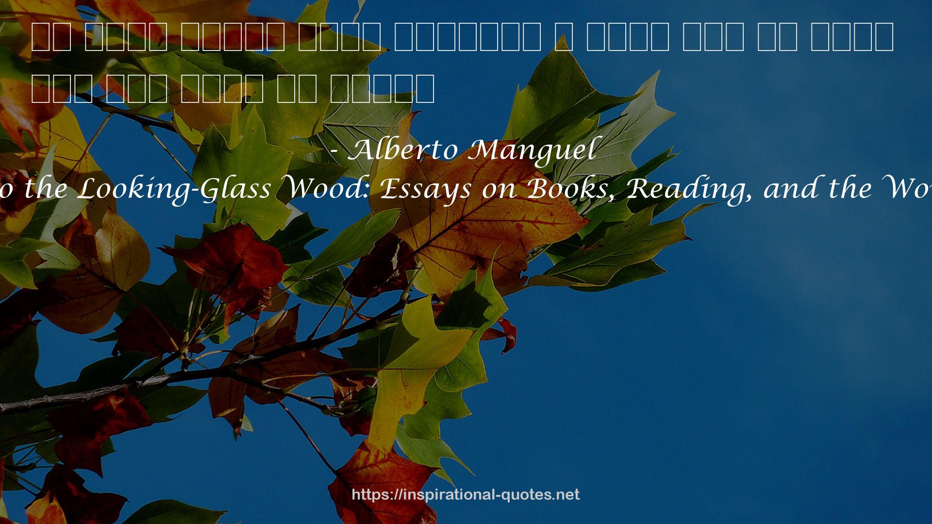 Into the Looking-Glass Wood: Essays on Books, Reading, and the World QUOTES