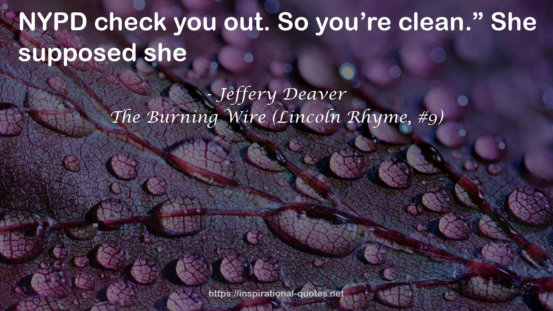 The Burning Wire (Lincoln Rhyme, #9) QUOTES