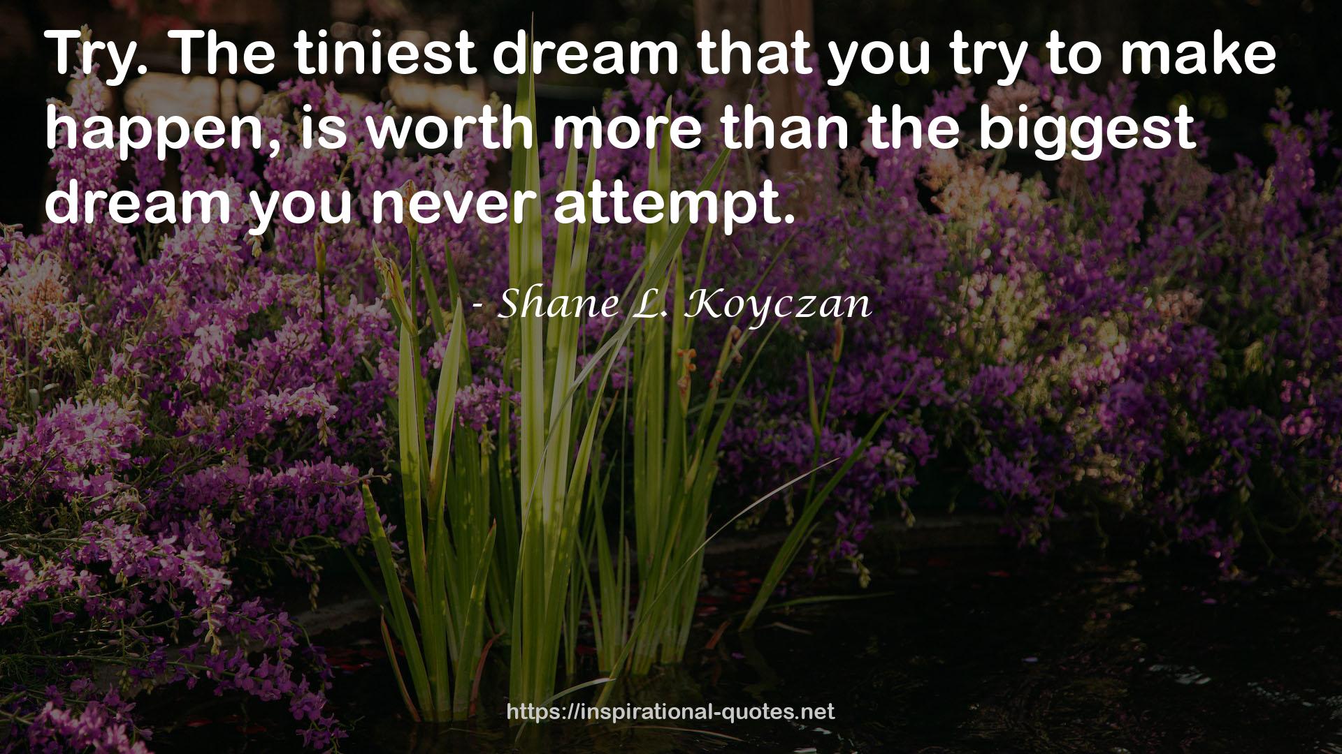 the biggest dream  QUOTES