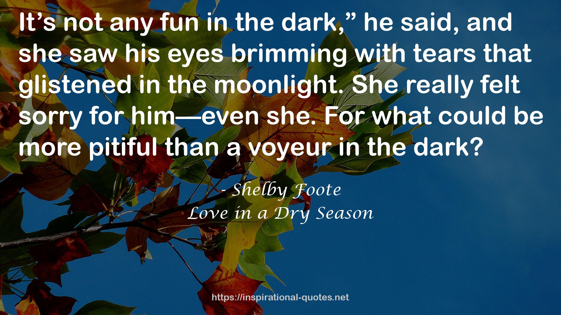 Love in a Dry Season QUOTES