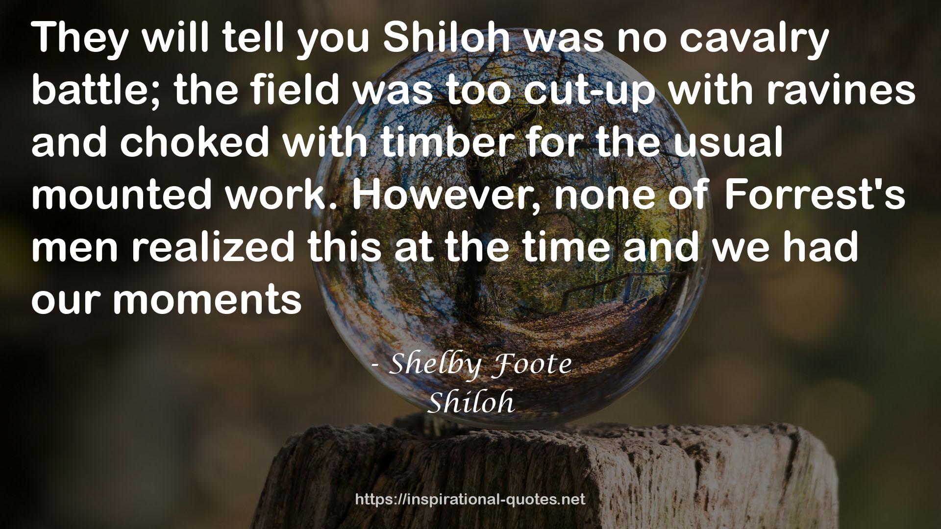 Shelby Foote QUOTES