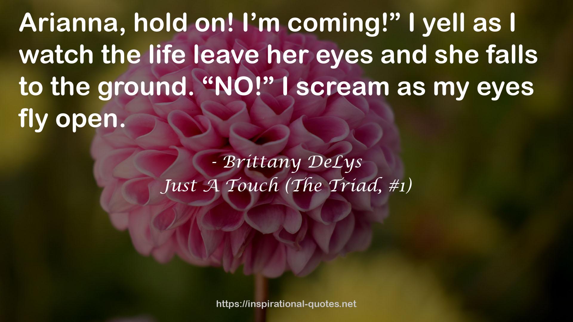 Just A Touch (The Triad, #1) QUOTES
