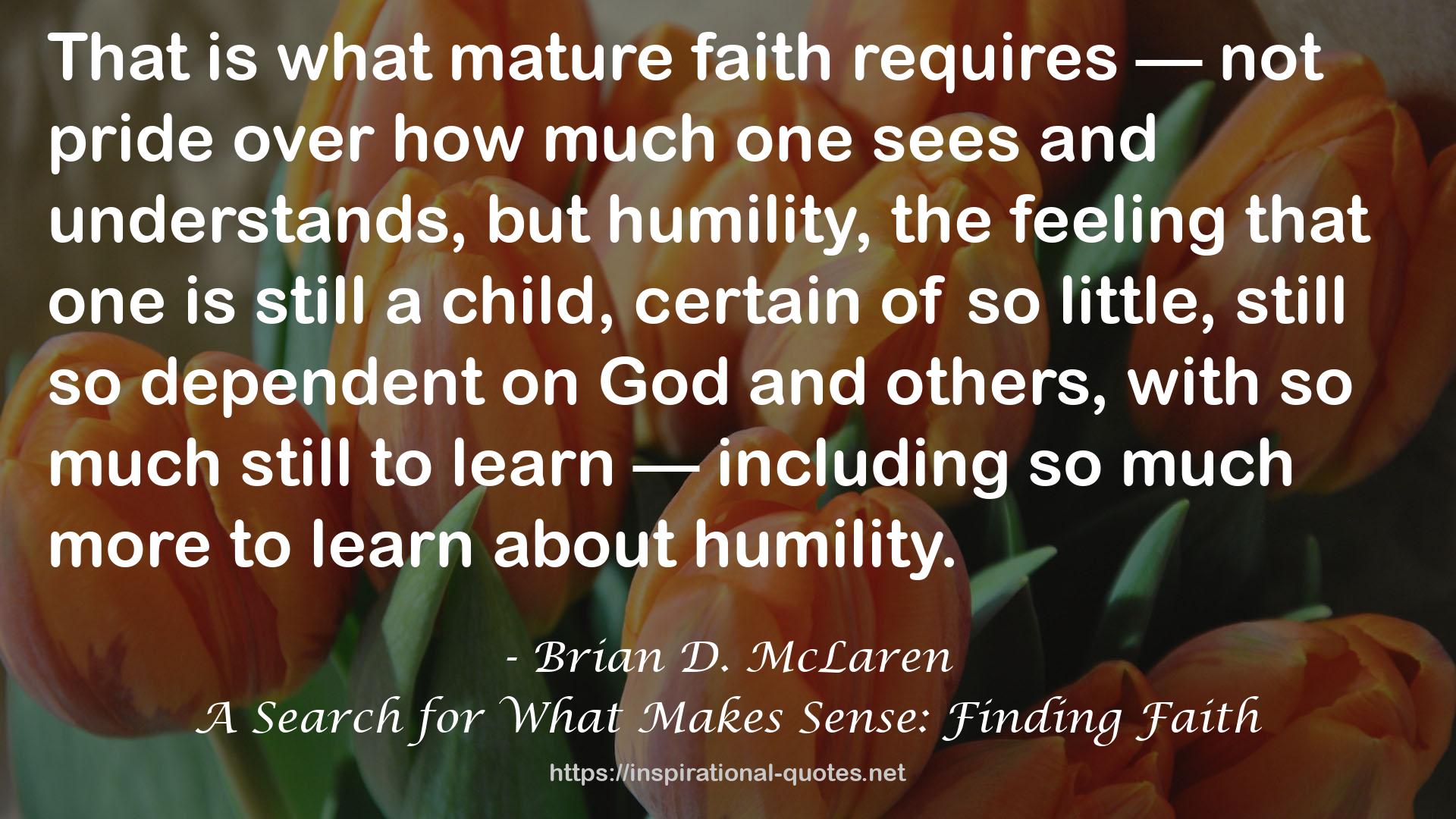 A Search for What Makes Sense: Finding Faith QUOTES