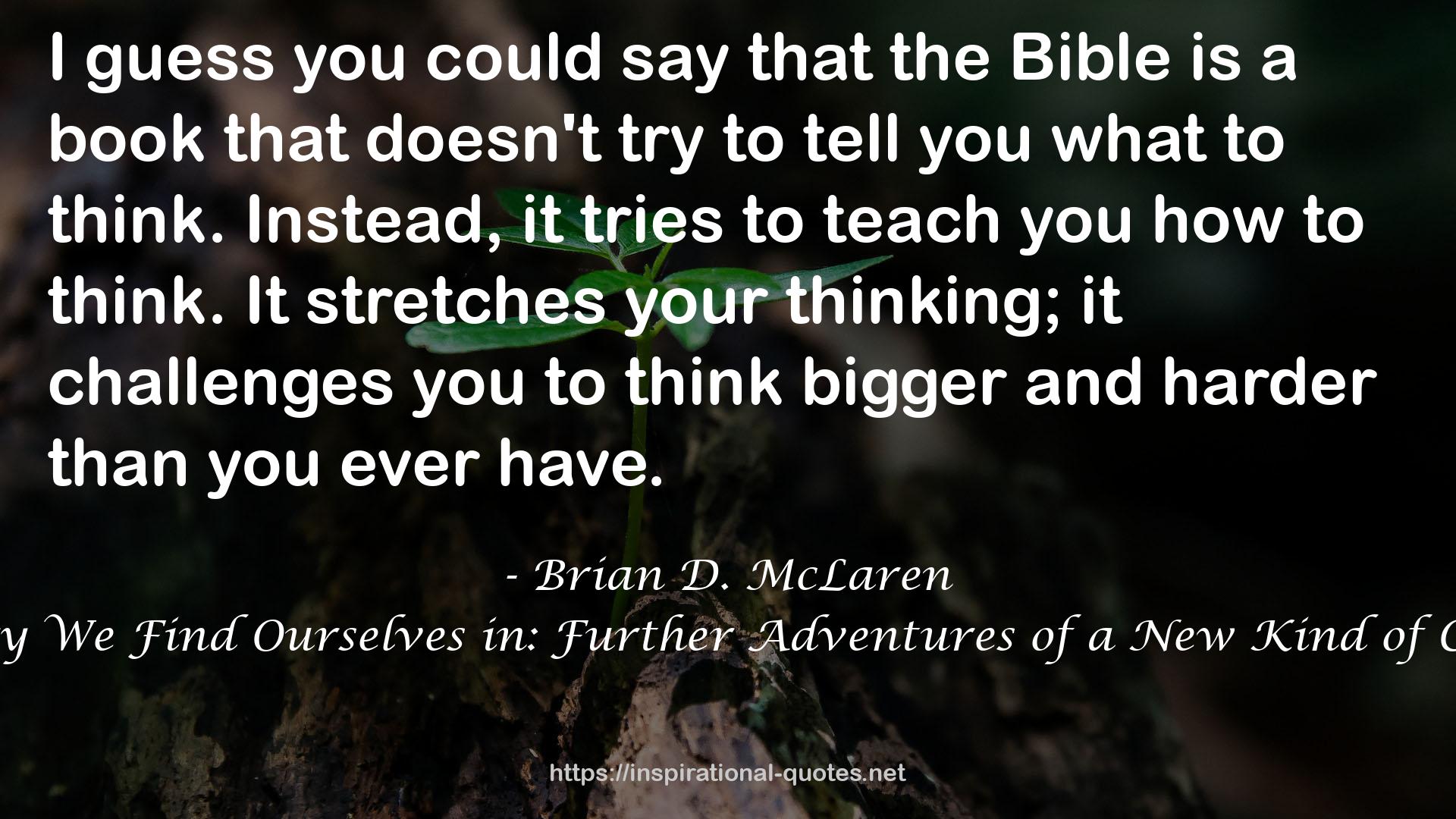 The Story We Find Ourselves in: Further Adventures of a New Kind of Christian QUOTES